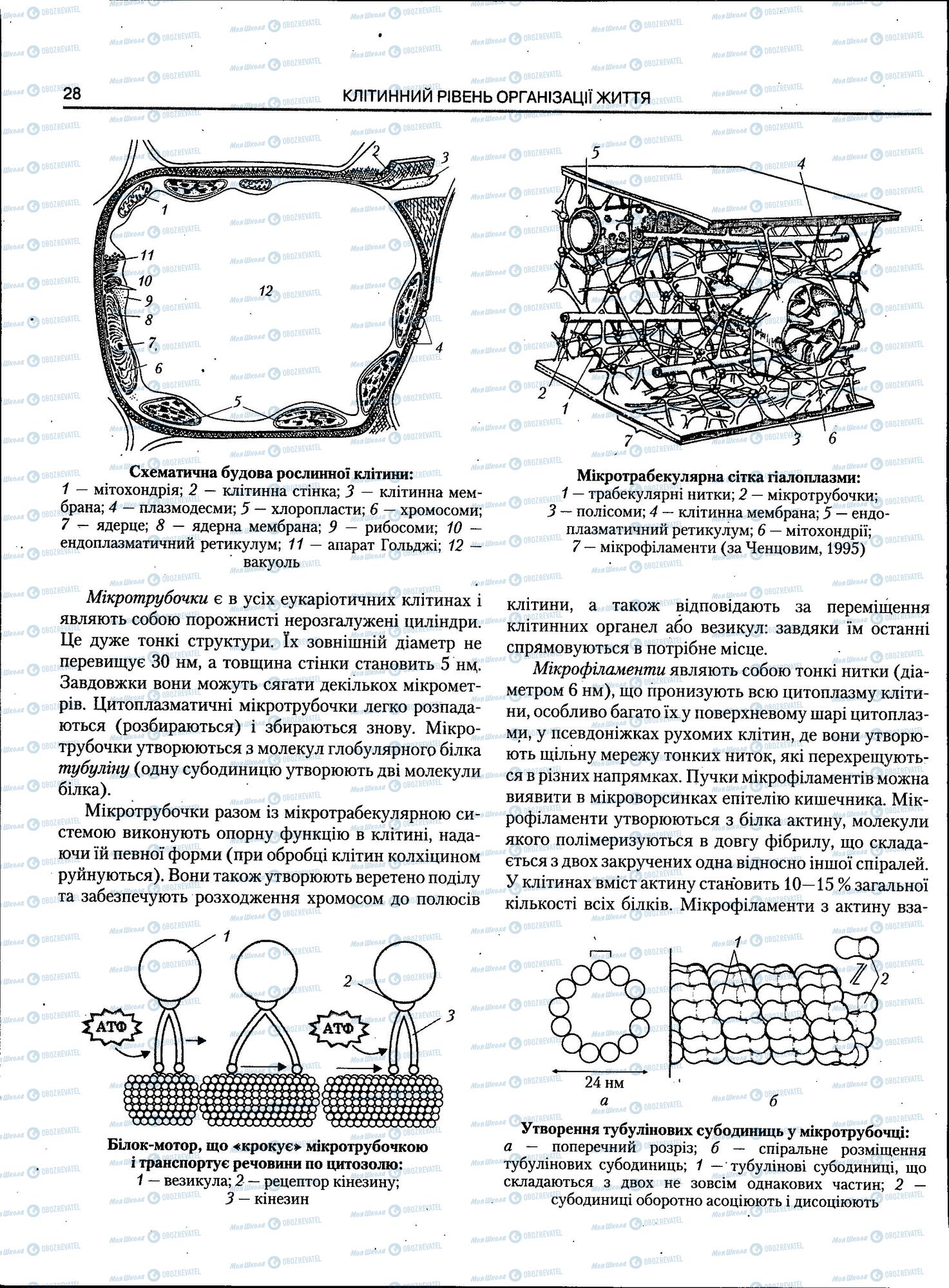 ЗНО Біологія 11 клас сторінка 28