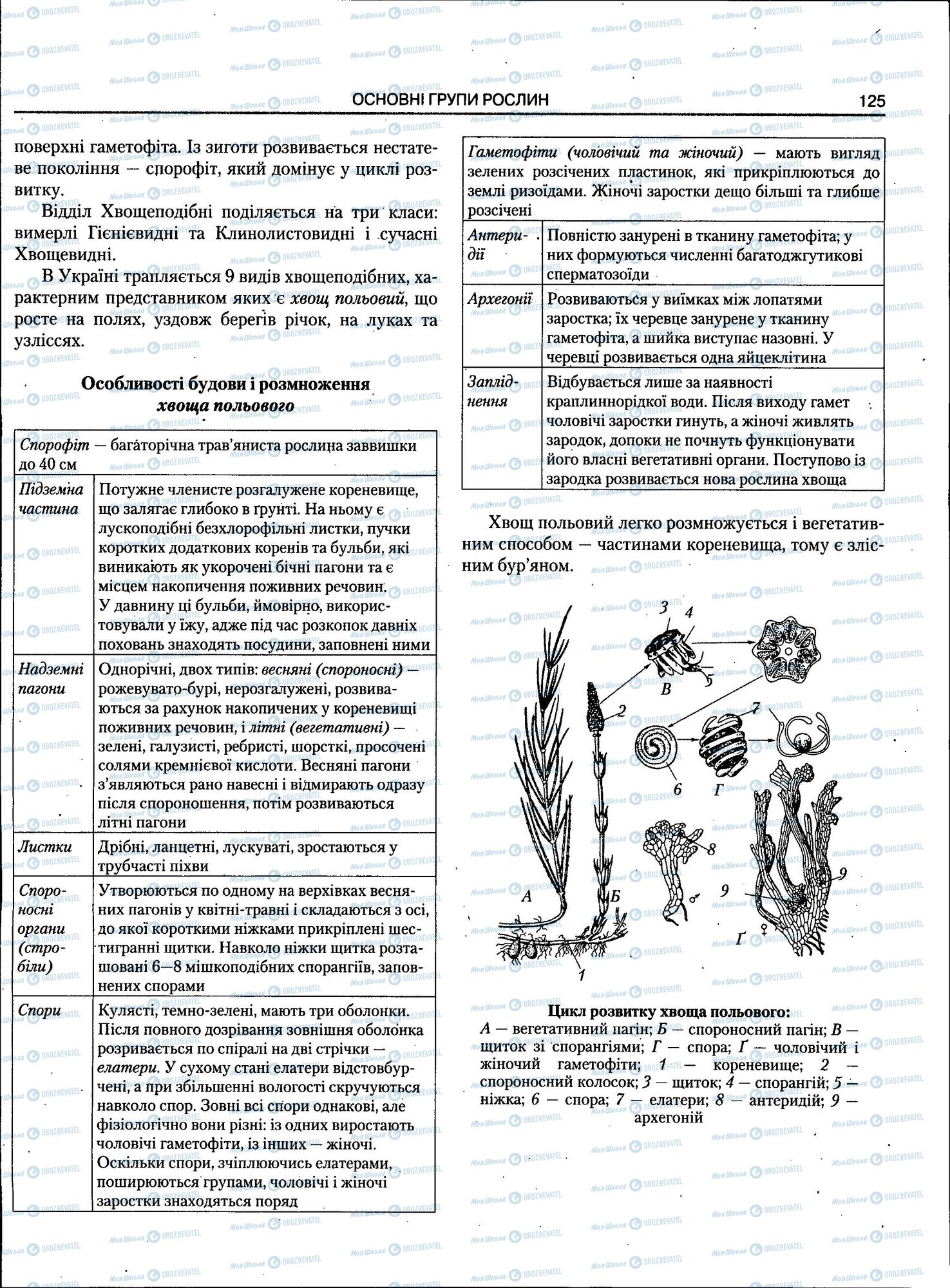 ЗНО Біологія 11 клас сторінка 125