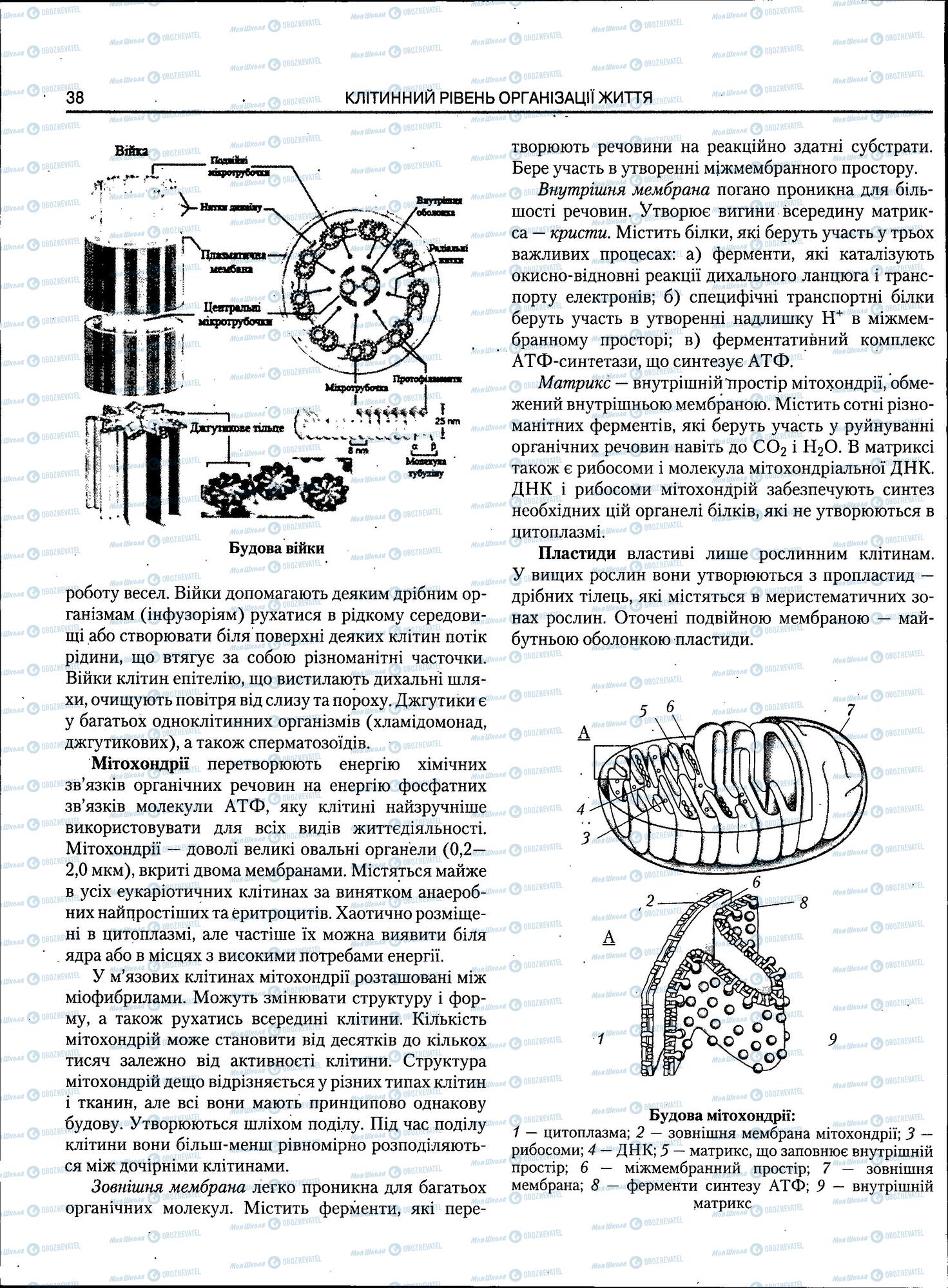 ЗНО Біологія 11 клас сторінка 38