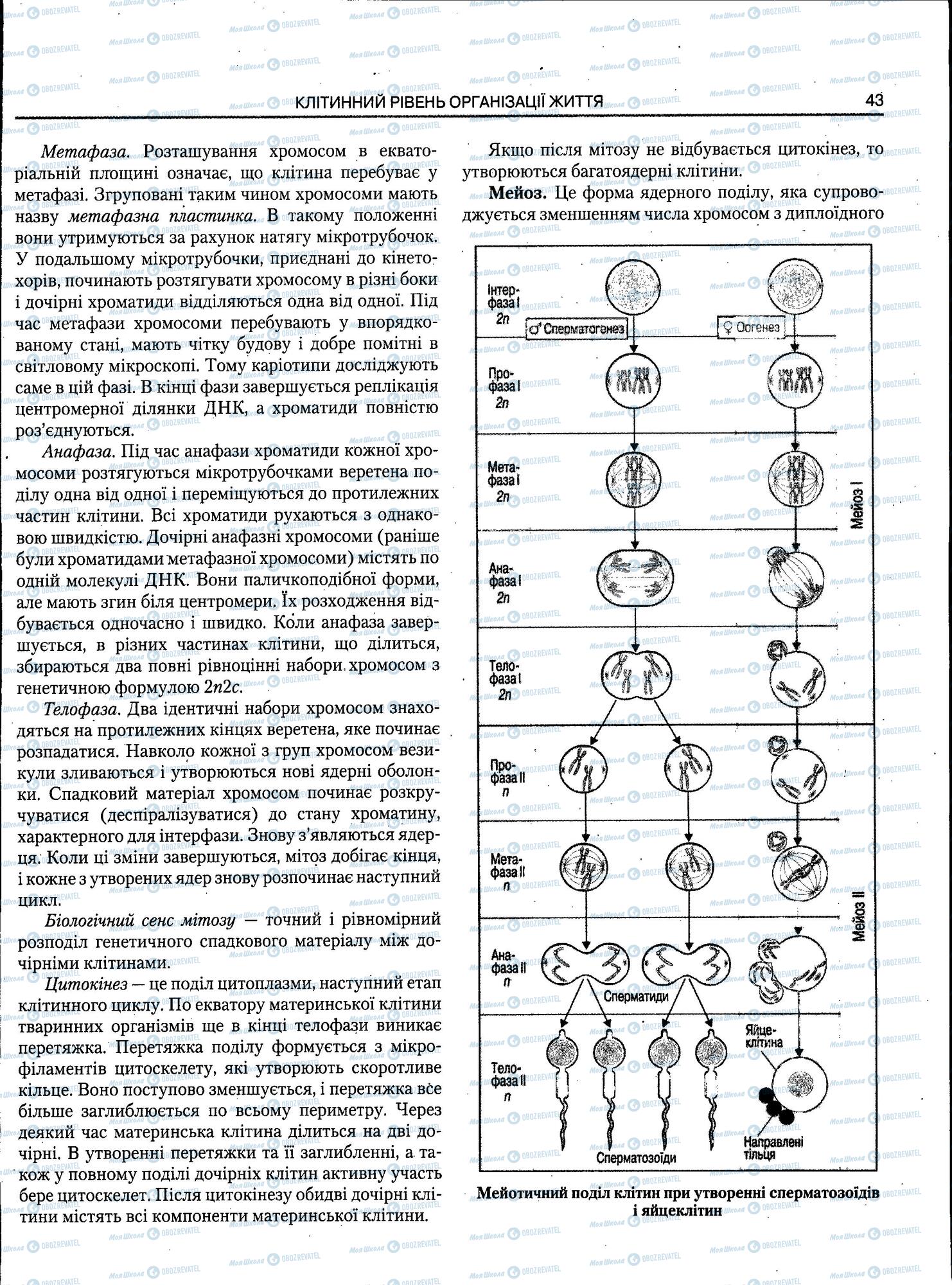 ЗНО Біологія 11 клас сторінка 43