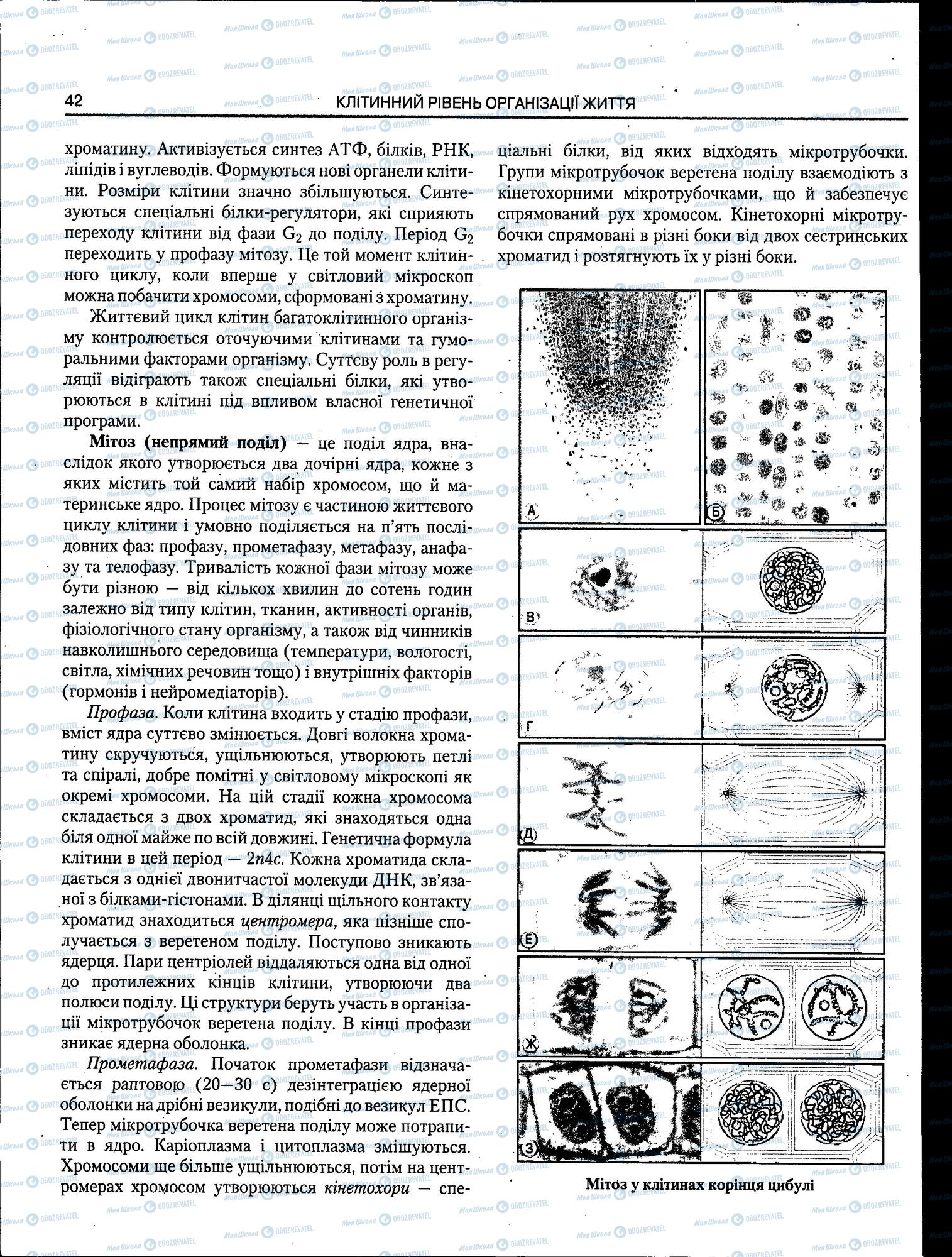 ЗНО Біологія 11 клас сторінка 42