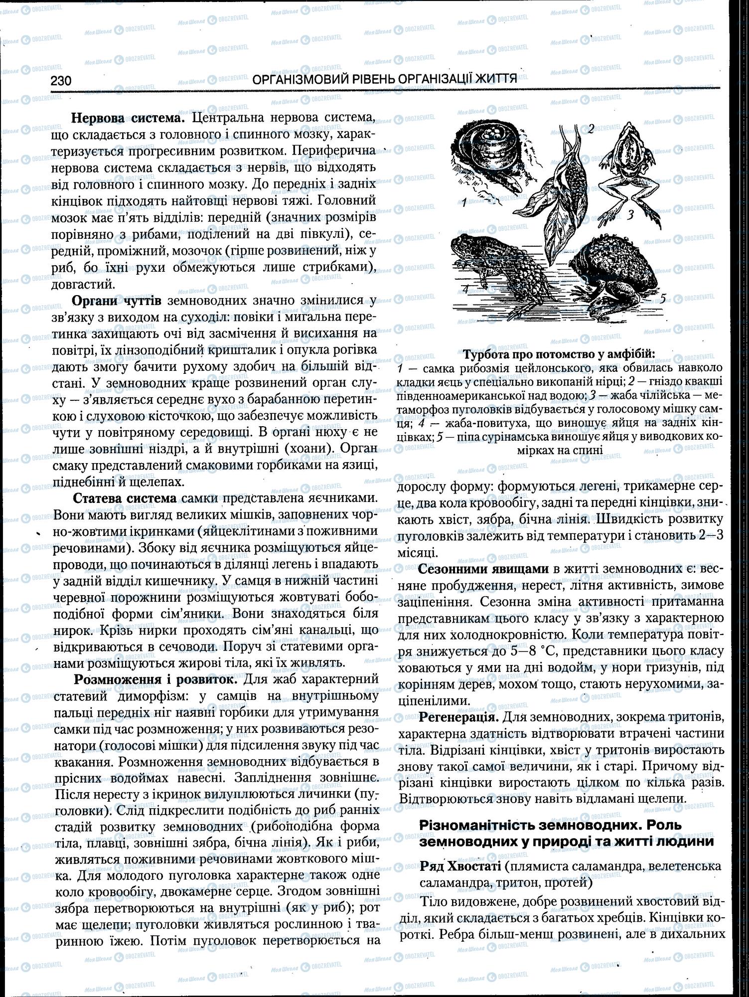 ЗНО Биология 11 класс страница 230