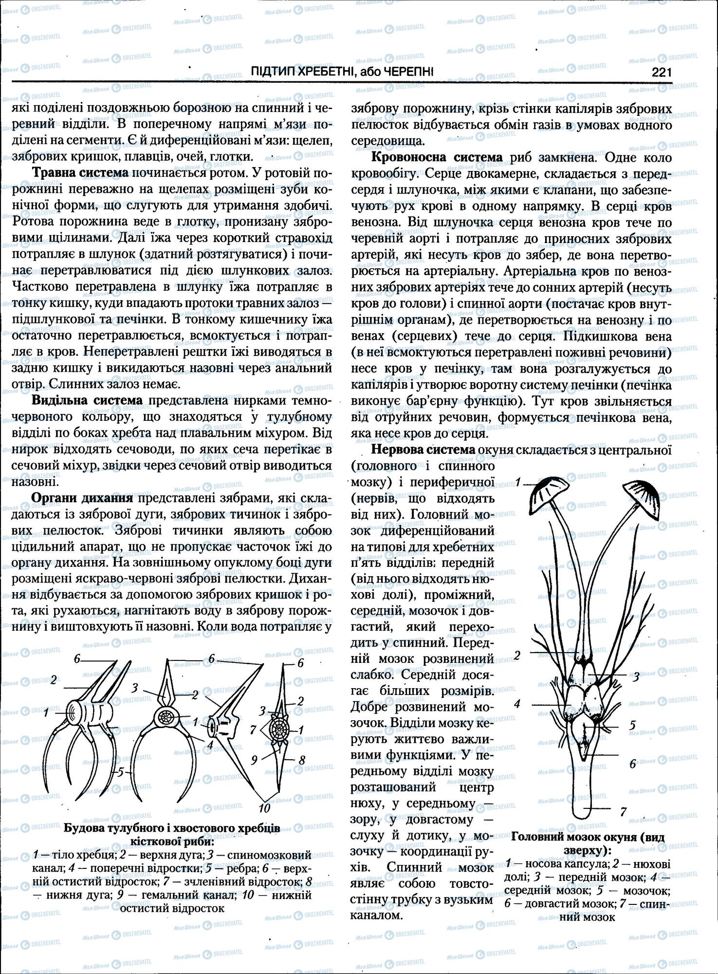 ЗНО Биология 11 класс страница 221