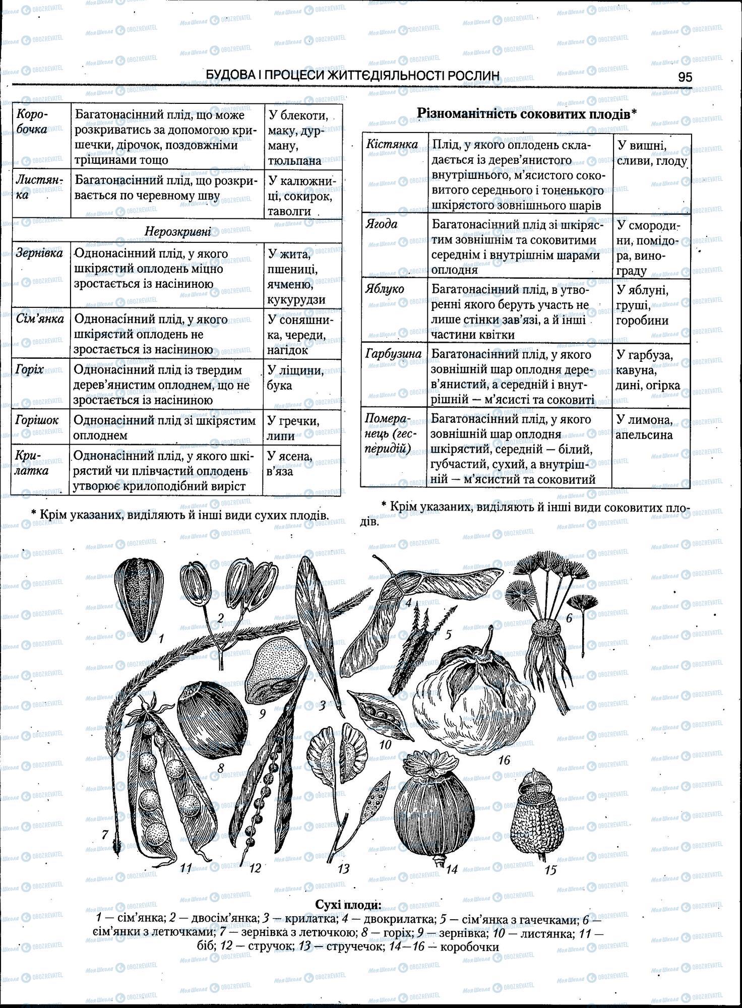 ЗНО Біологія 11 клас сторінка 95