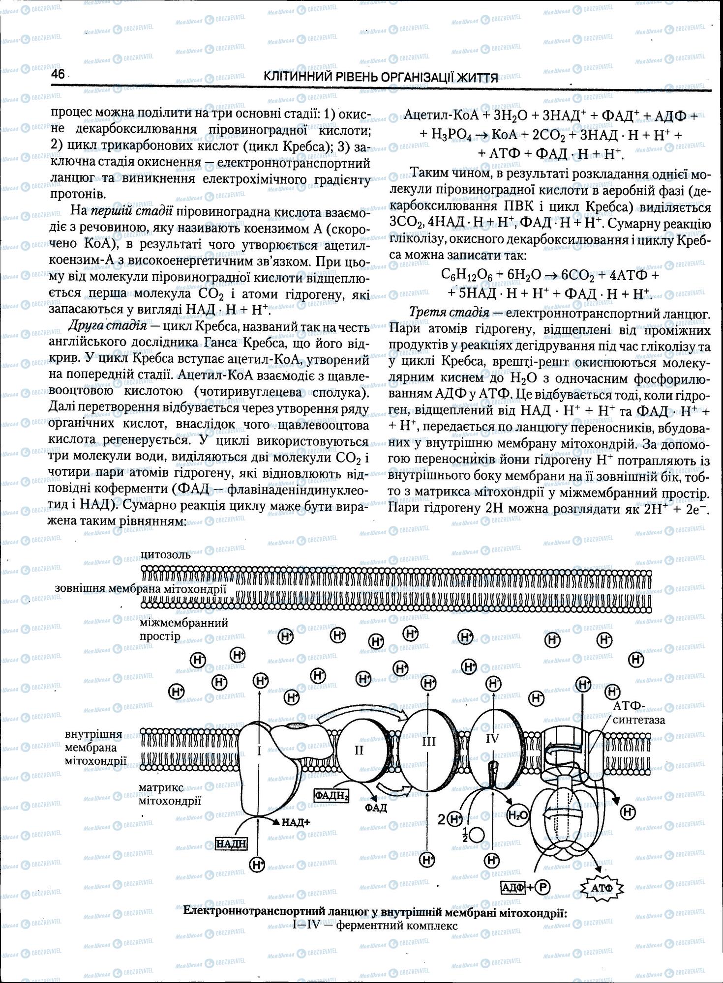 ЗНО Биология 11 класс страница 48
