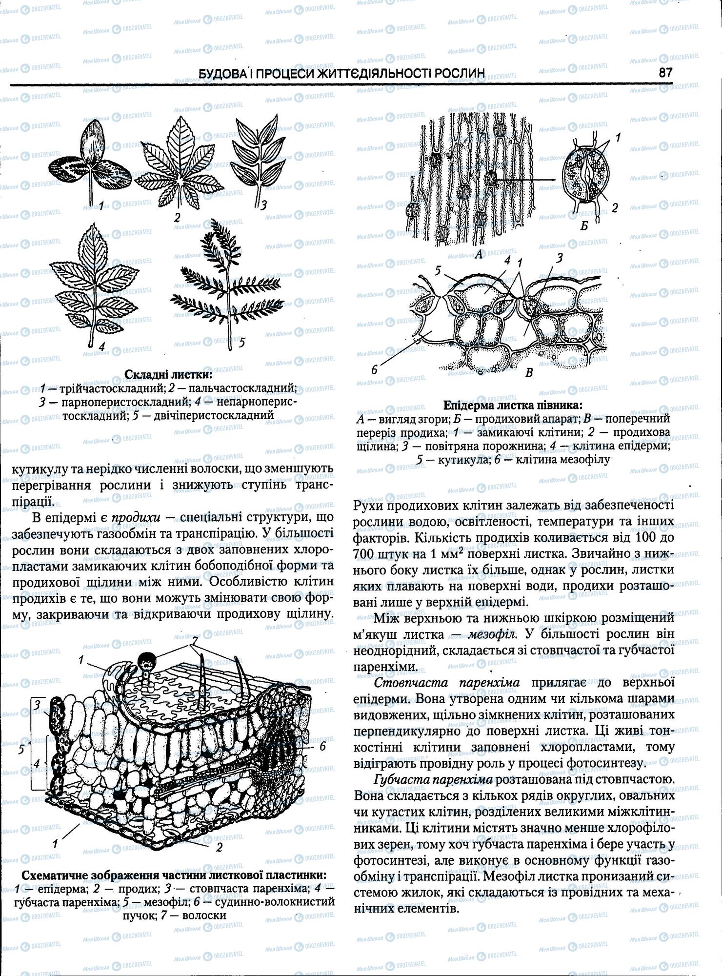 ЗНО Біологія 11 клас сторінка 87