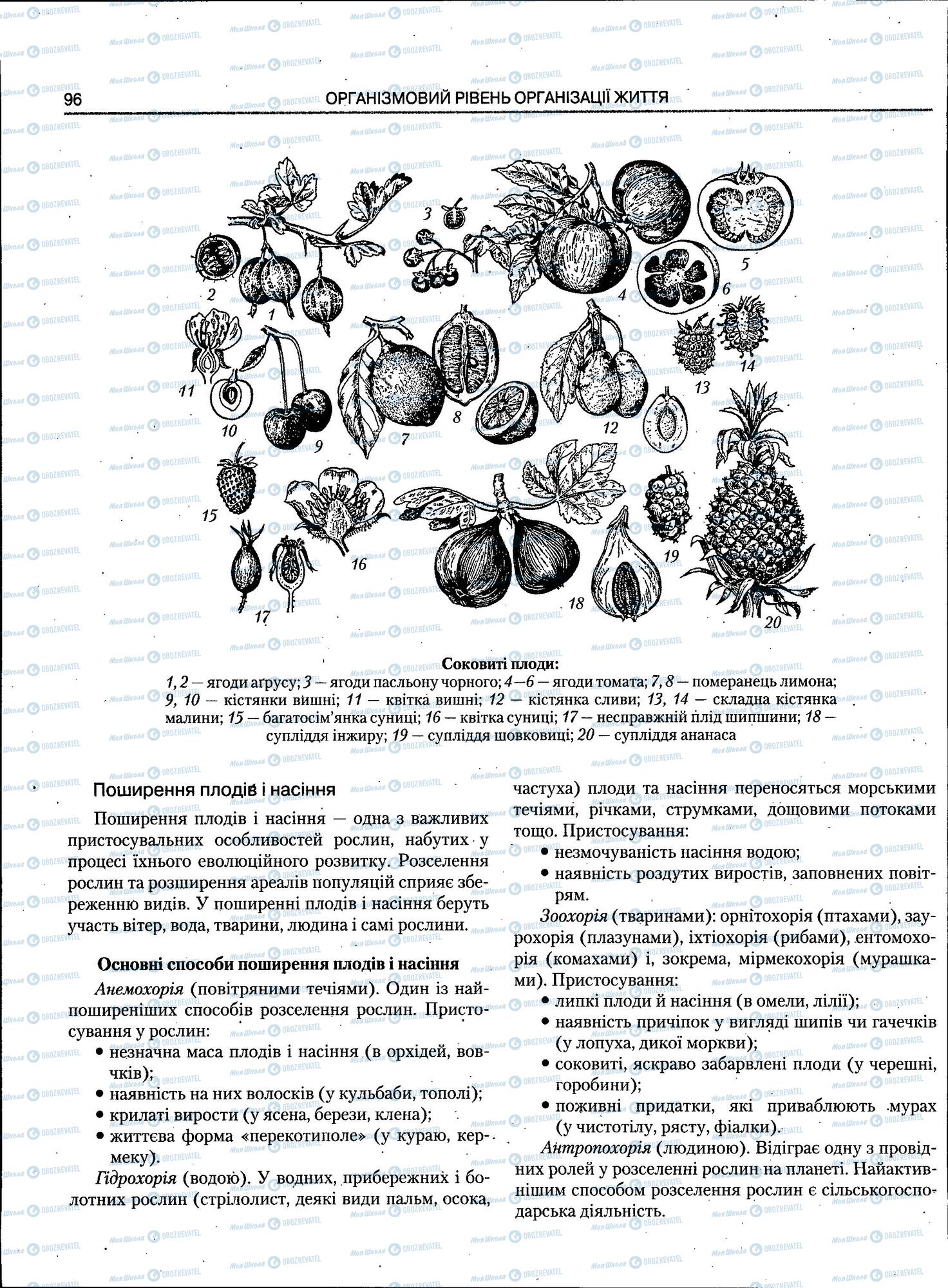 ЗНО Біологія 11 клас сторінка 96