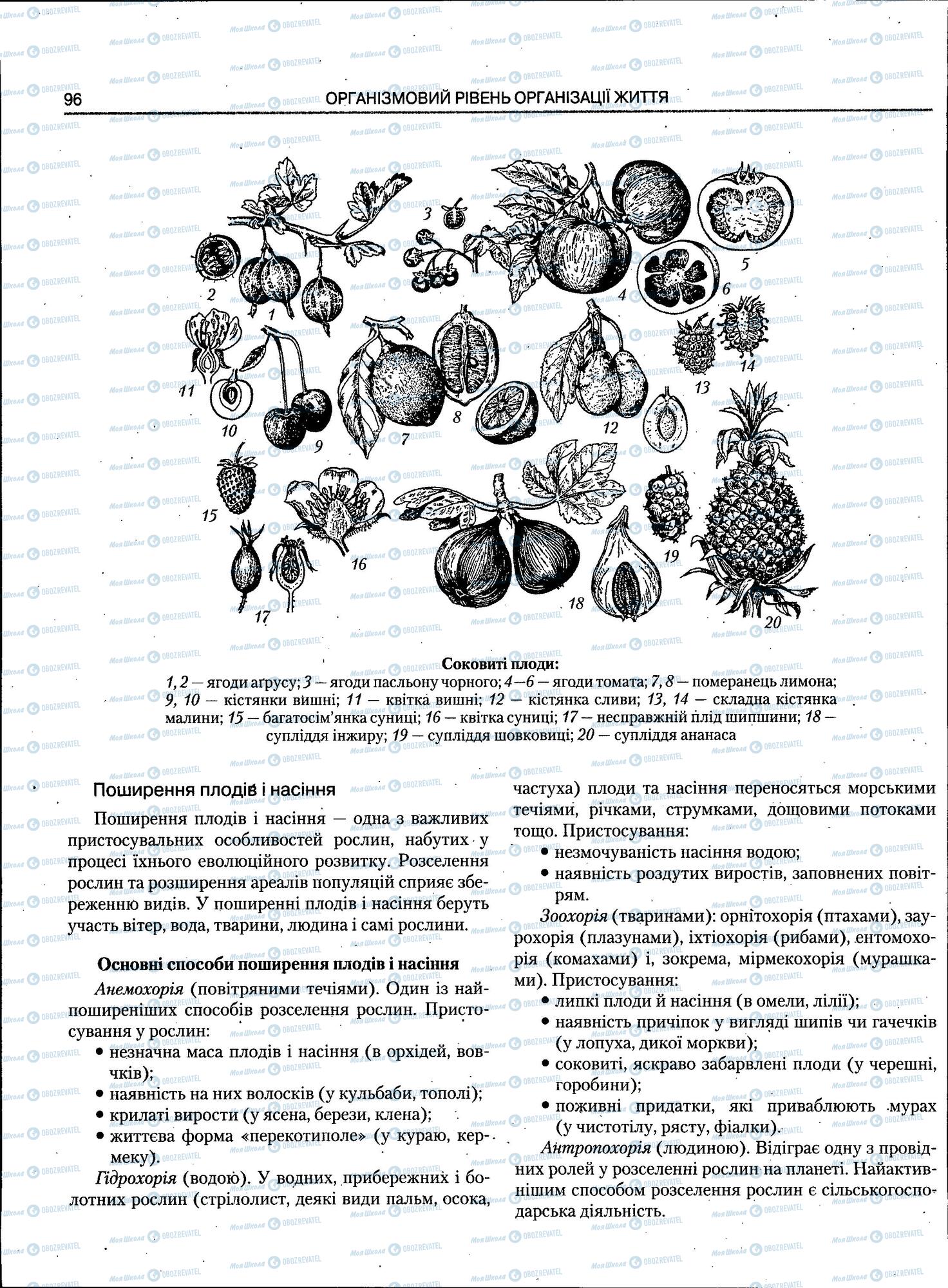 ЗНО Биология 11 класс страница 96