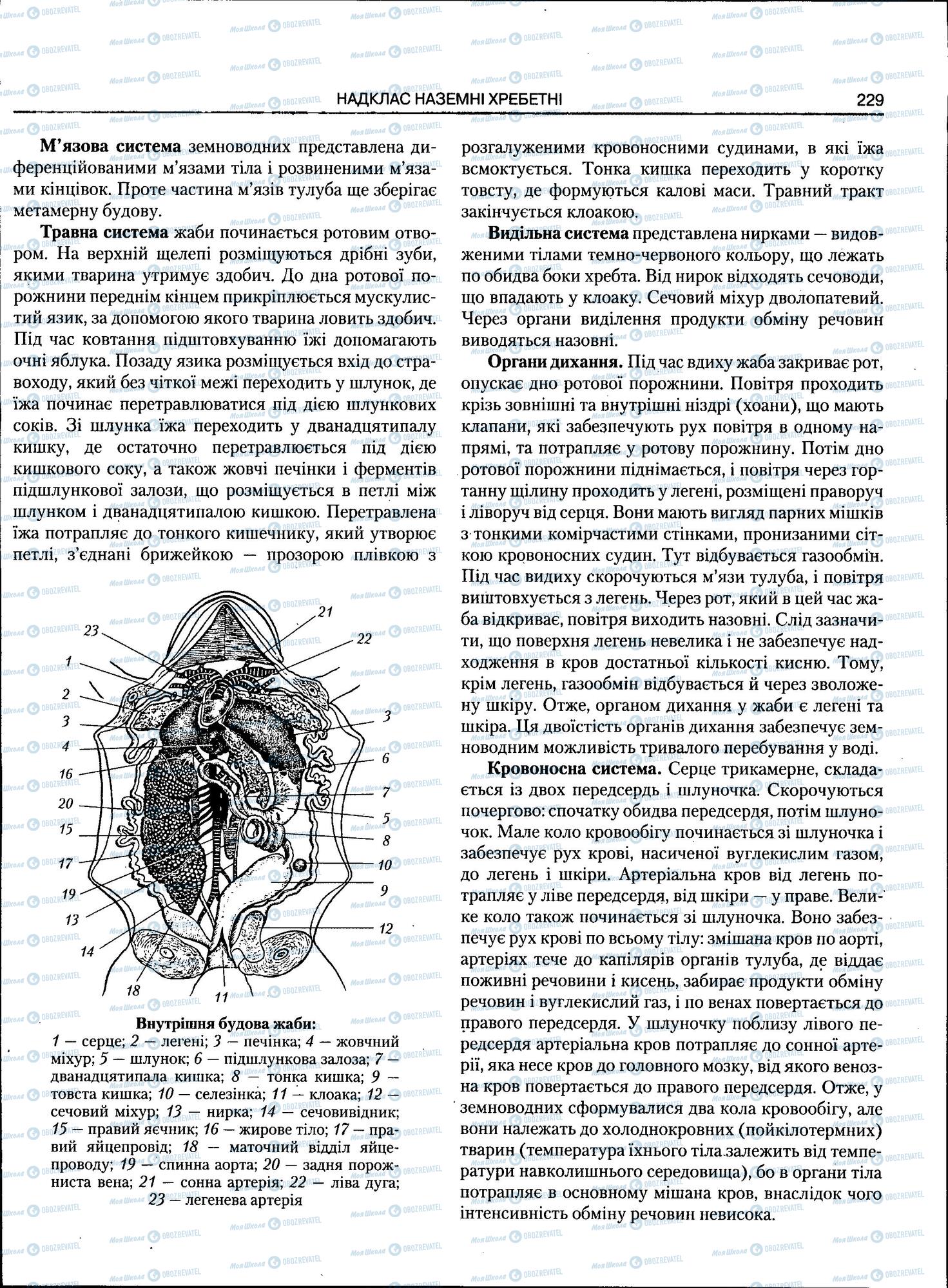 ЗНО Биология 11 класс страница 229