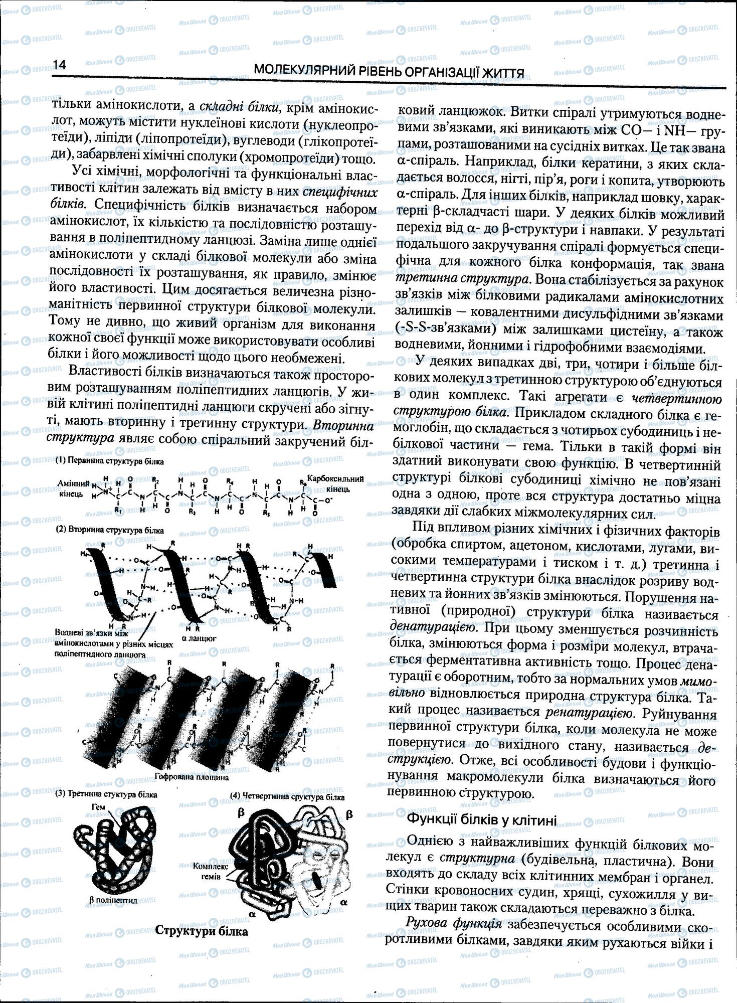 ЗНО Біологія 11 клас сторінка 14