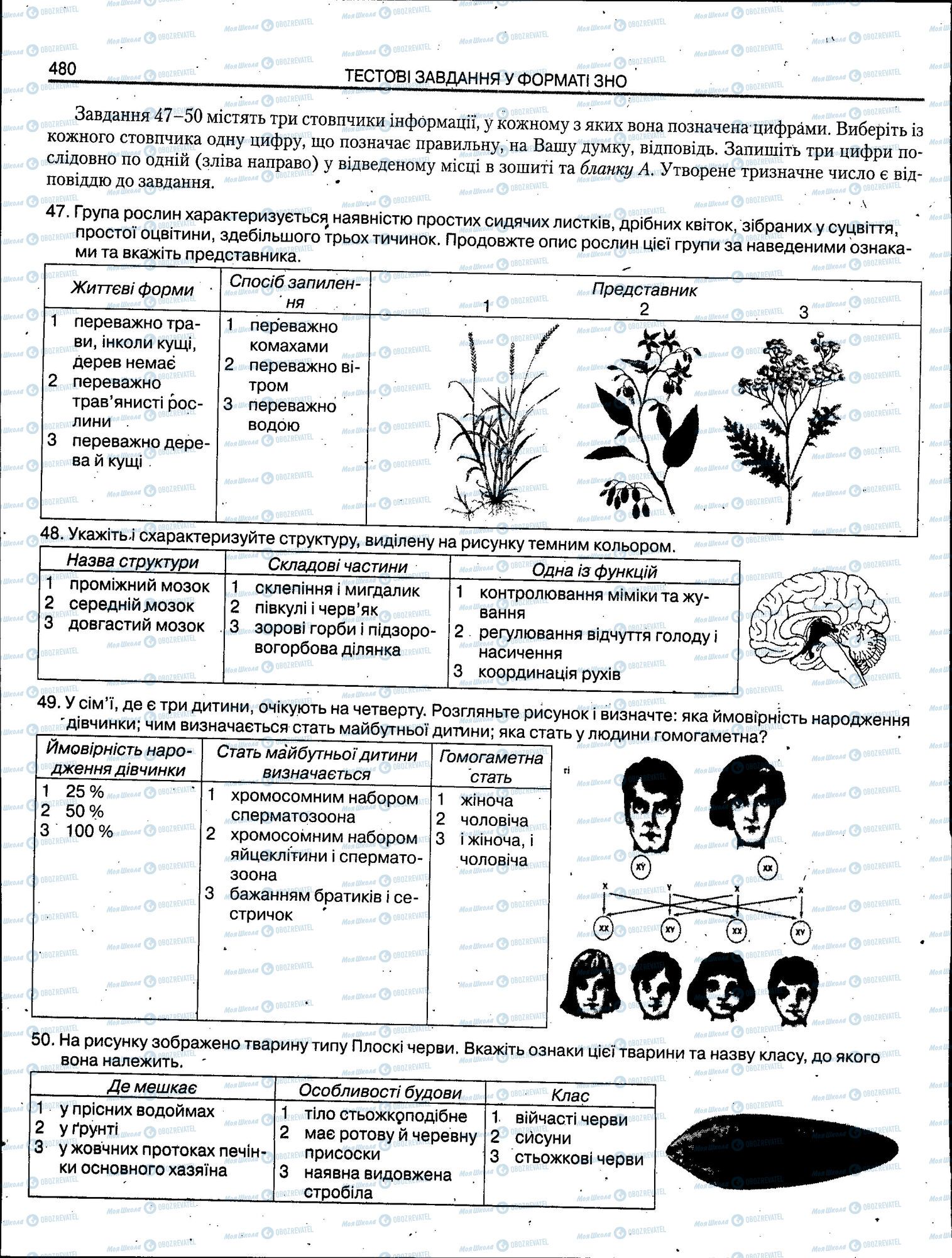 ЗНО Биология 11 класс страница 480
