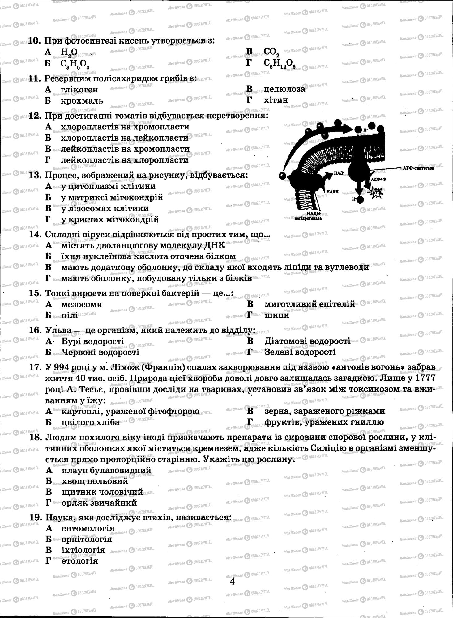 ЗНО Біологія 11 клас сторінка 004