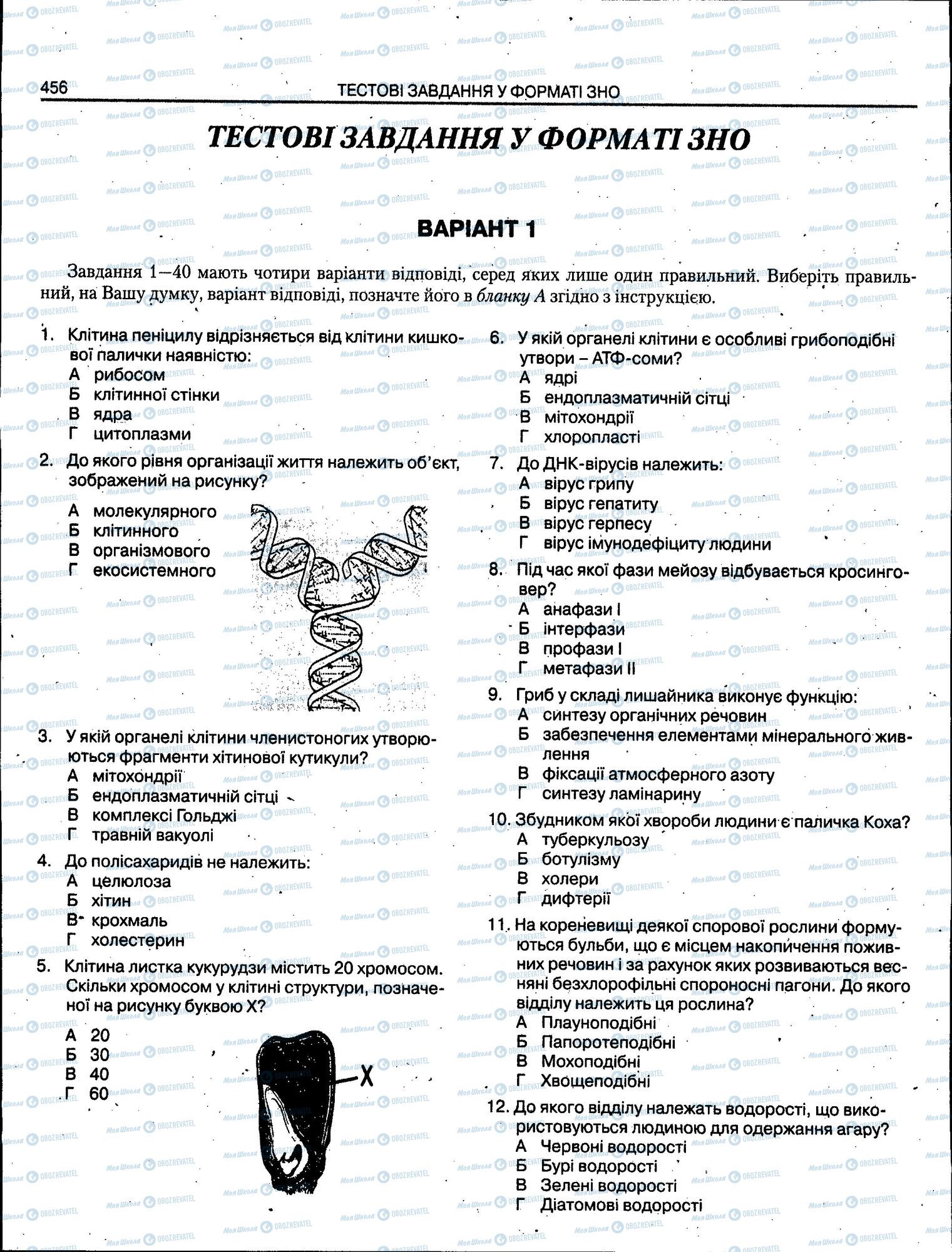 ЗНО Біологія 11 клас сторінка 456