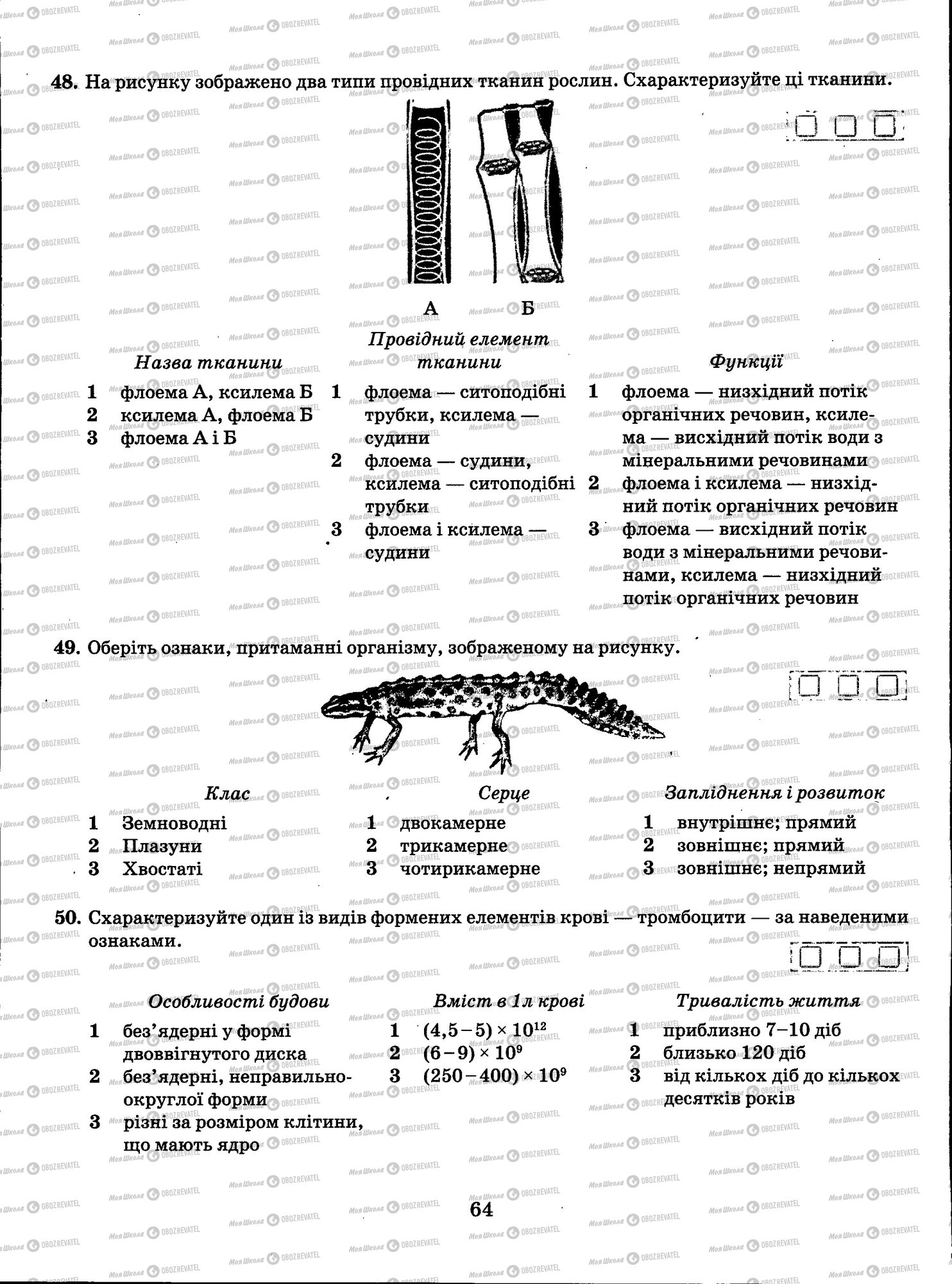 ЗНО Биология 11 класс страница 064