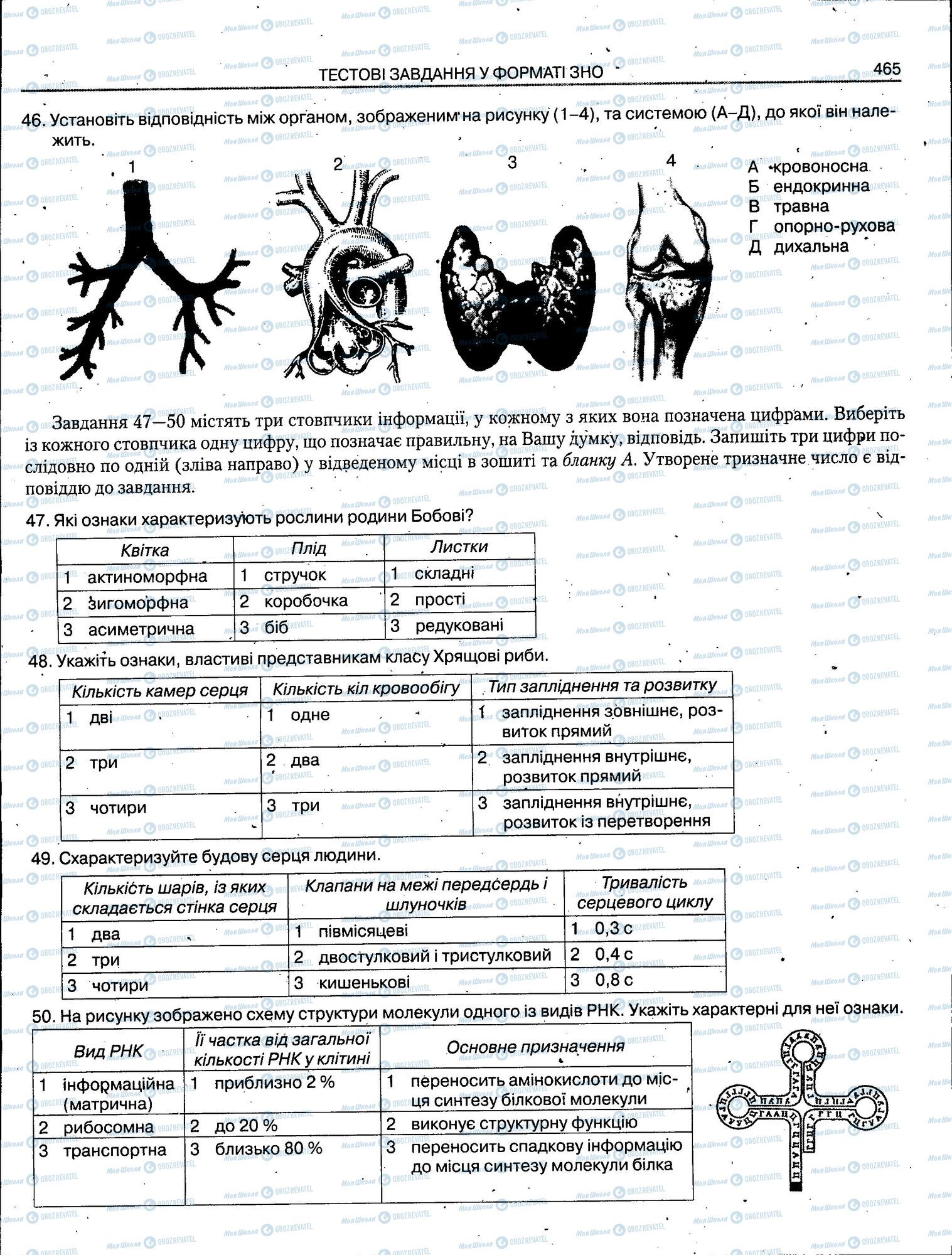 ЗНО Біологія 11 клас сторінка 465