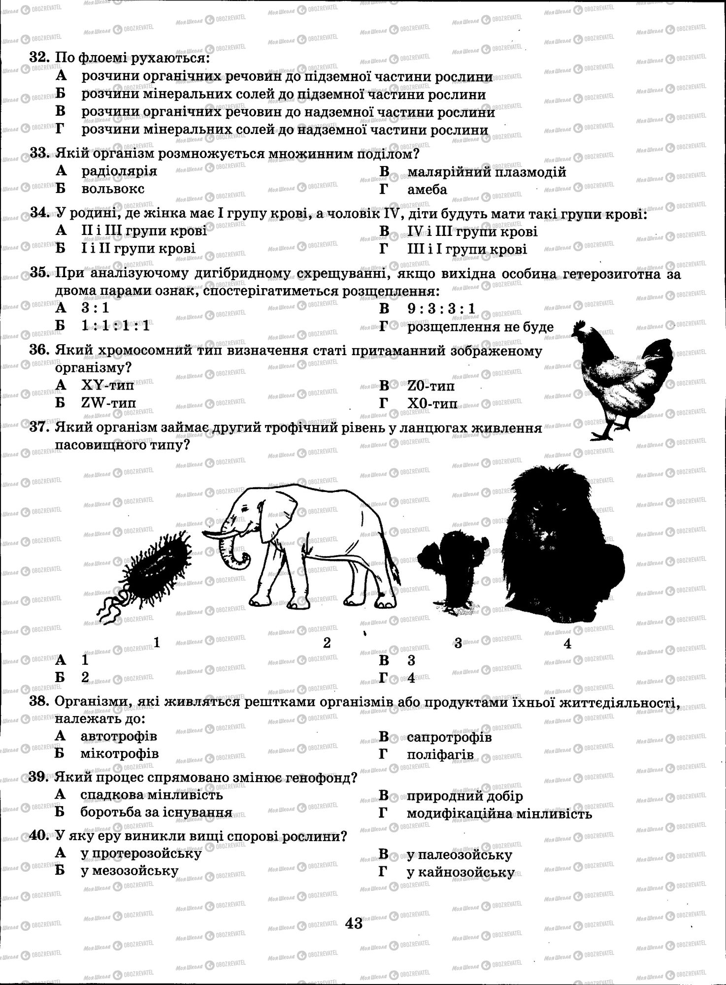 ЗНО Биология 11 класс страница 043