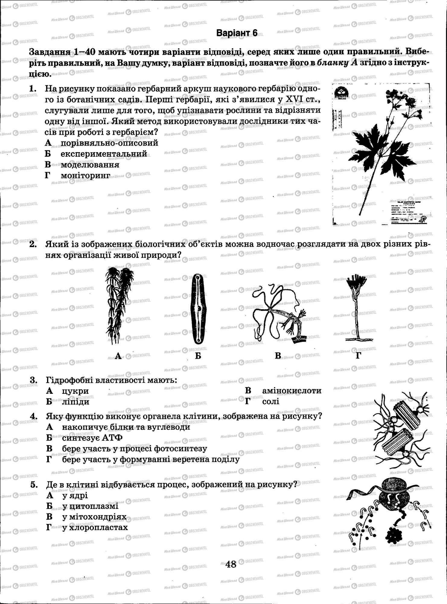 ЗНО Біологія 11 клас сторінка 048