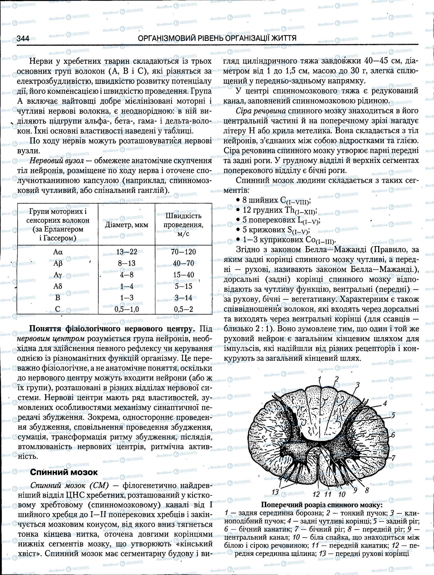 ЗНО Біологія 11 клас сторінка 344