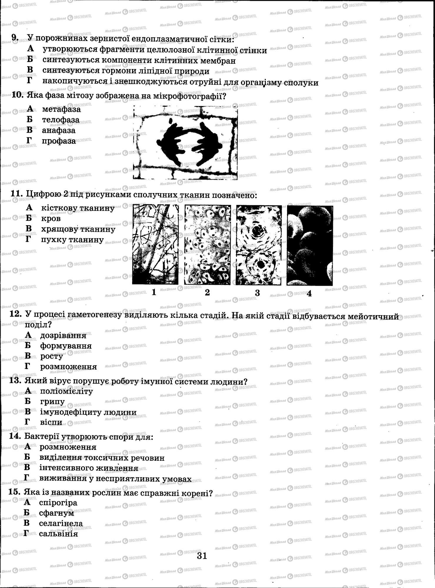 ЗНО Биология 11 класс страница 031