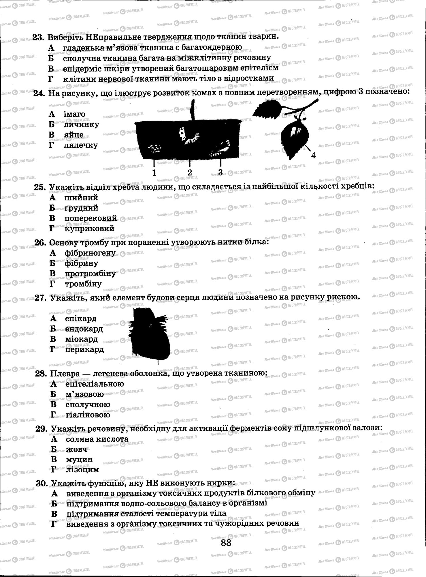 ЗНО Биология 11 класс страница 088