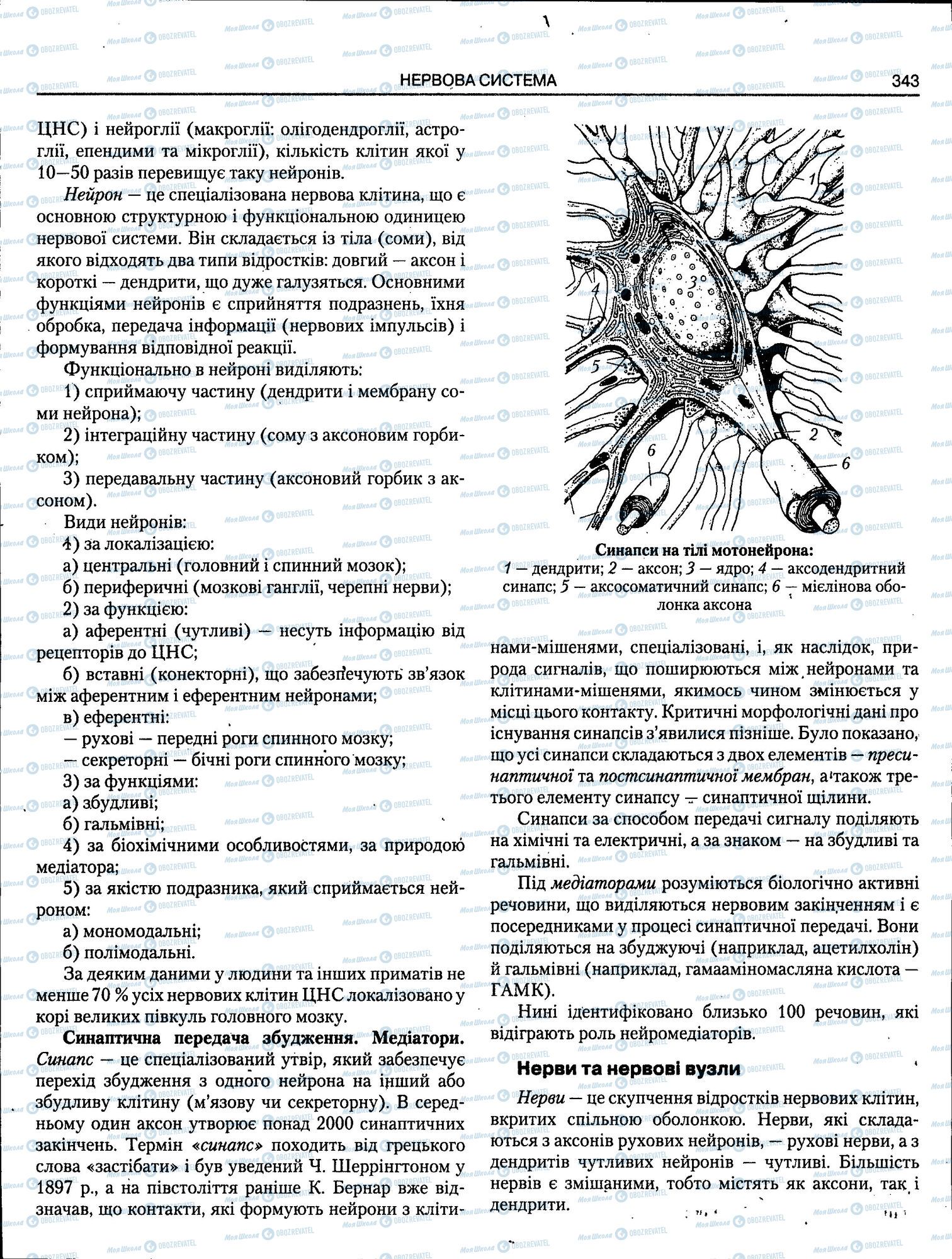 ЗНО Біологія 11 клас сторінка 343