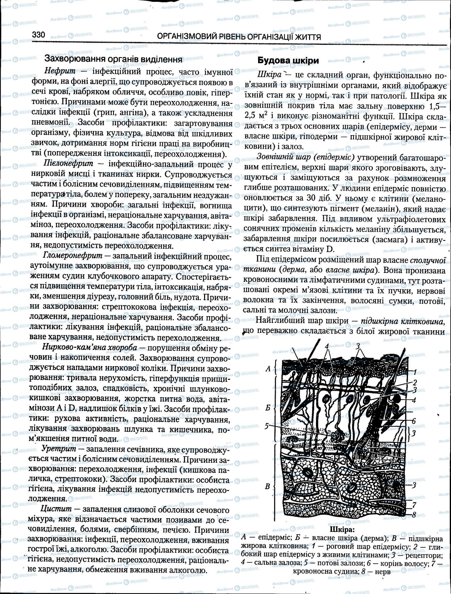 ЗНО Біологія 11 клас сторінка 330