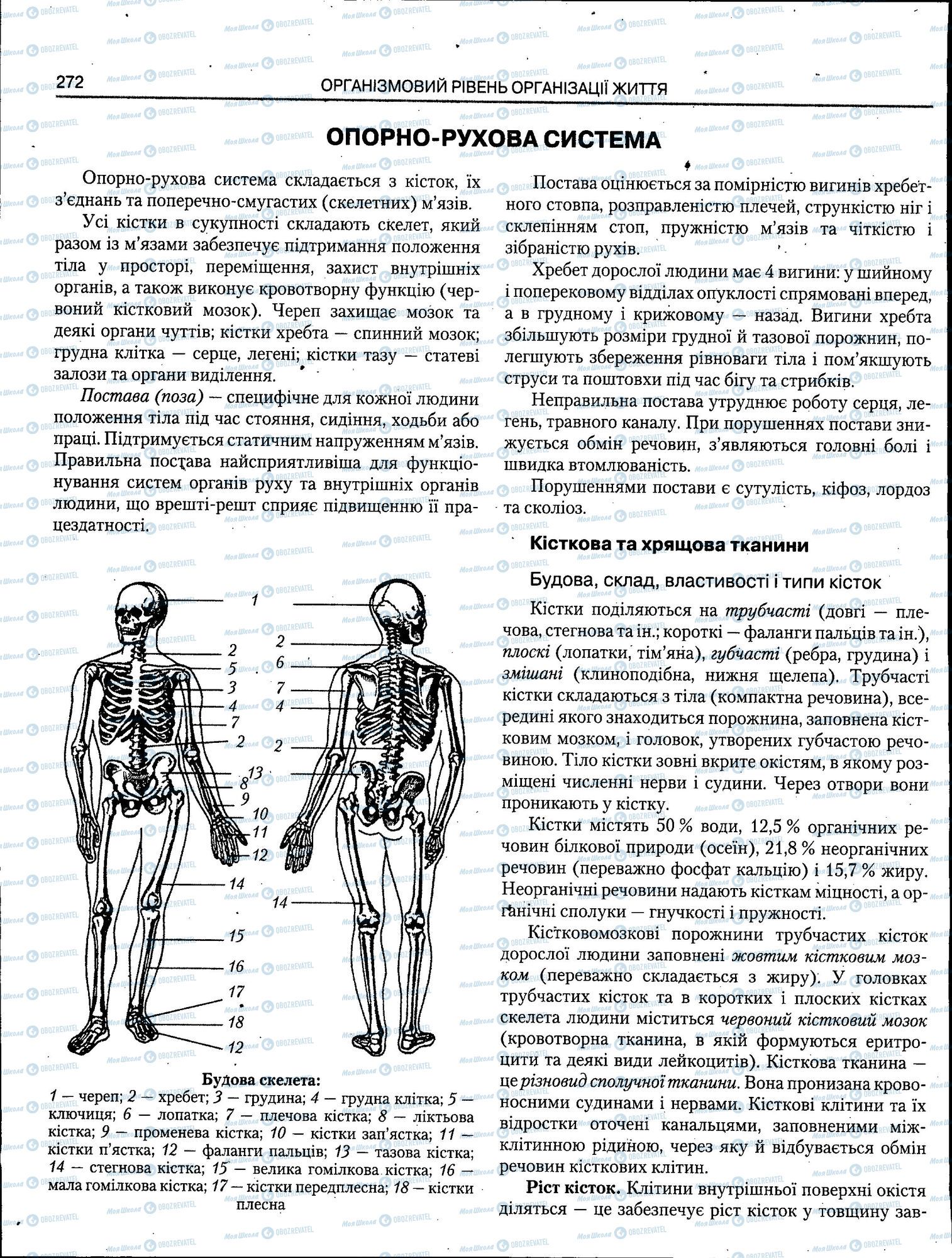 ЗНО Биология 11 класс страница 272