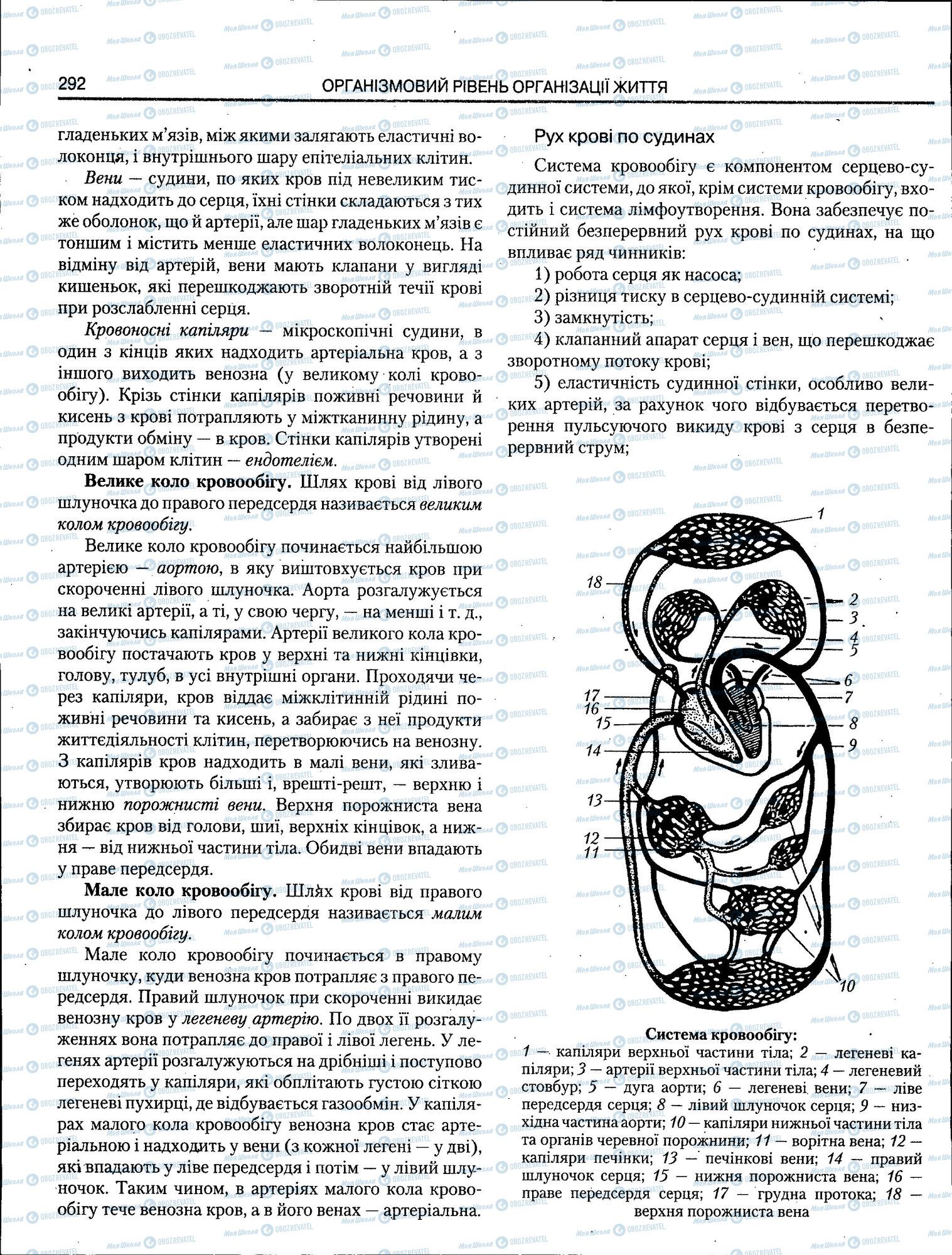 ЗНО Биология 11 класс страница 292