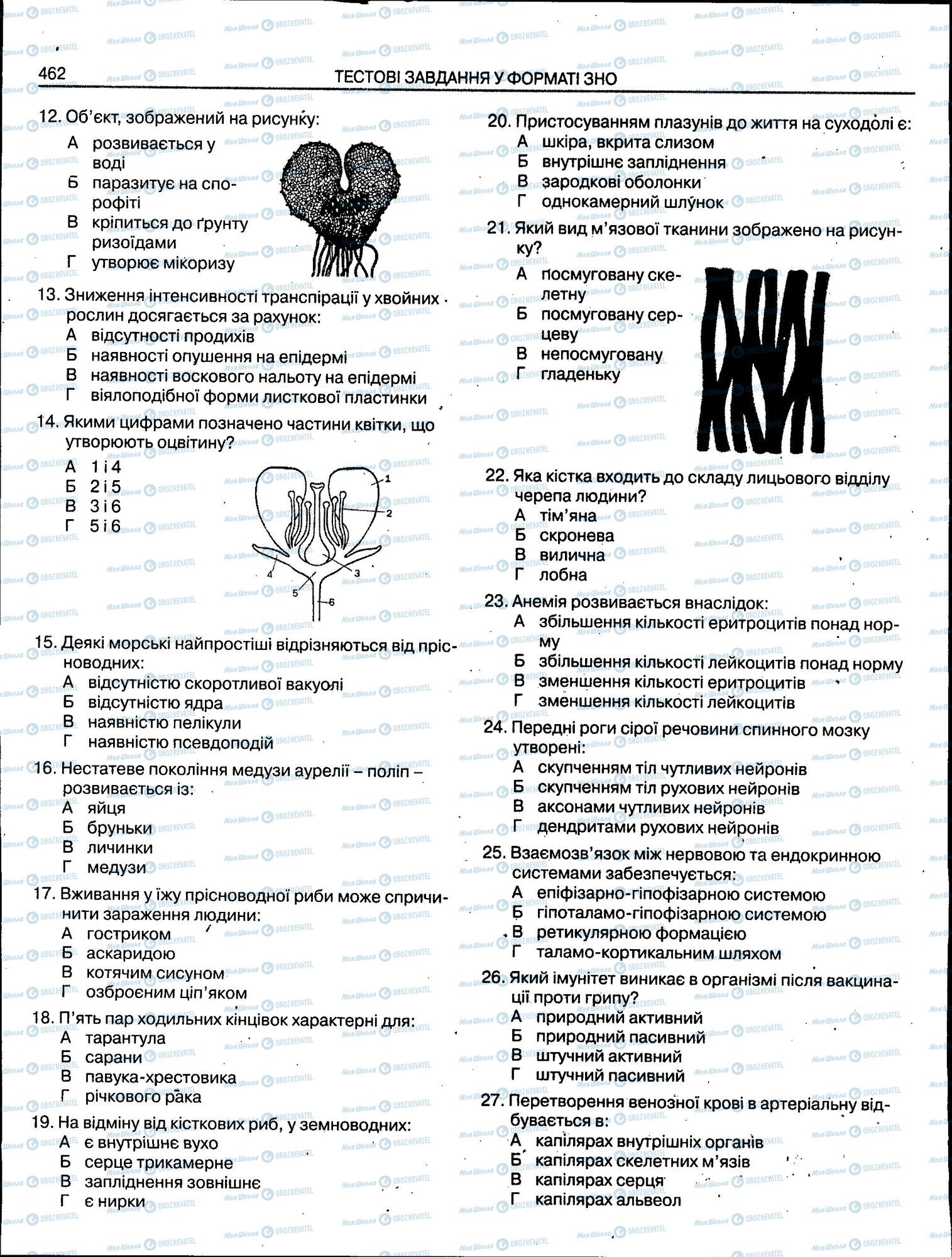 ЗНО Биология 11 класс страница 462