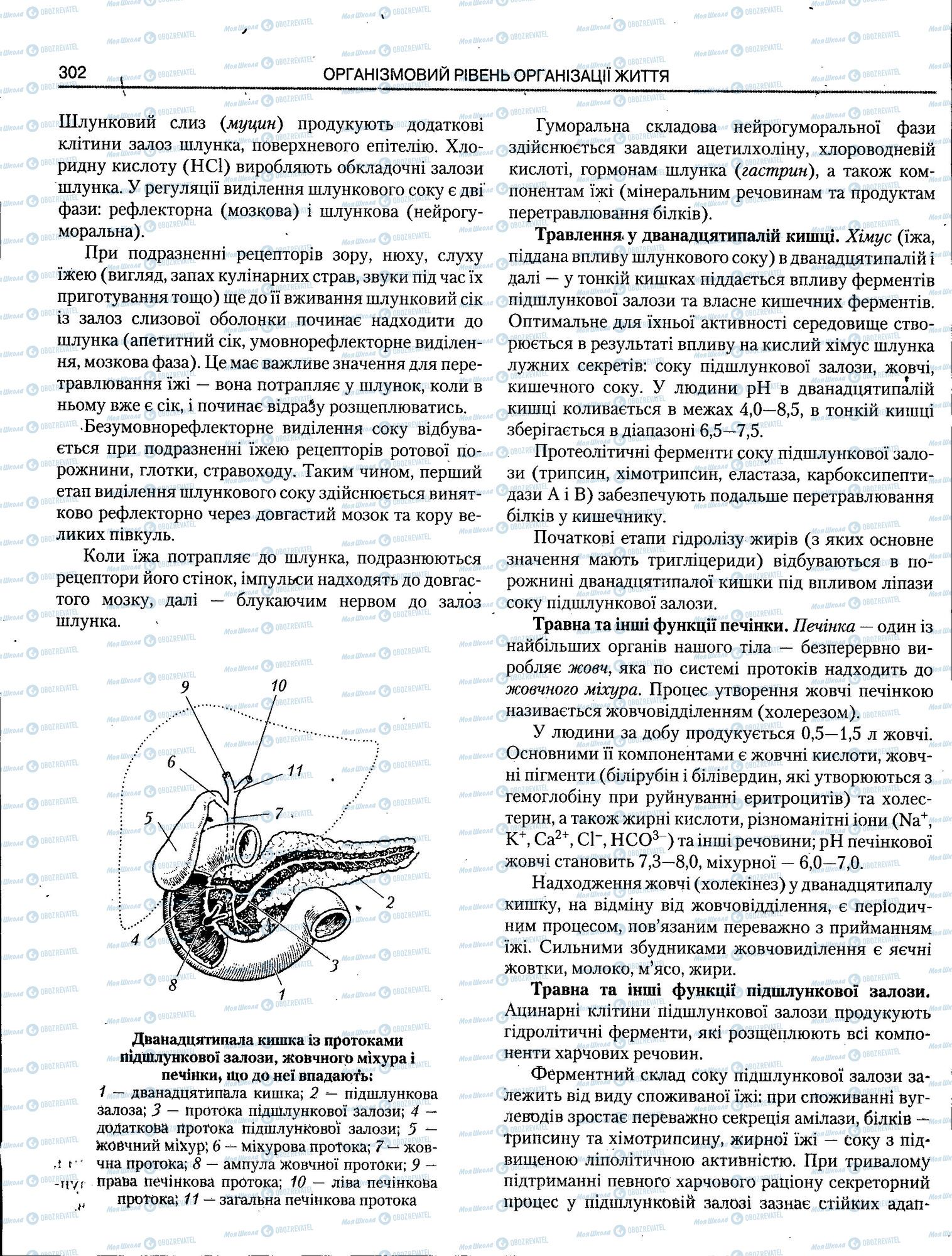 ЗНО Біологія 11 клас сторінка 302