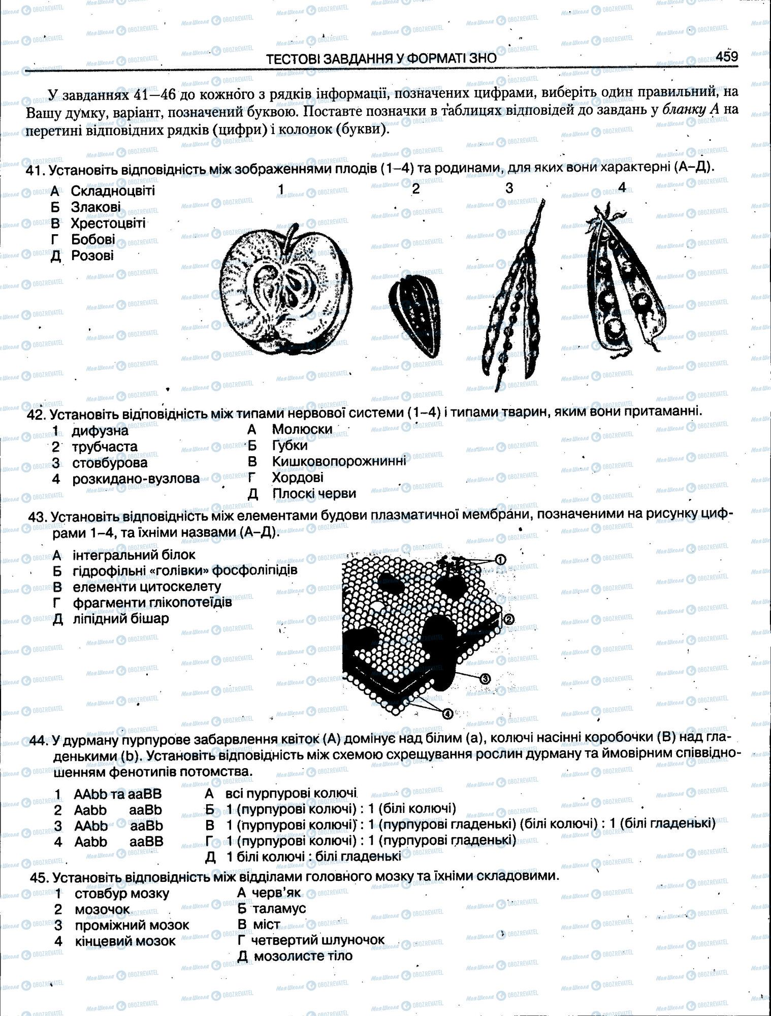 ЗНО Біологія 11 клас сторінка 459
