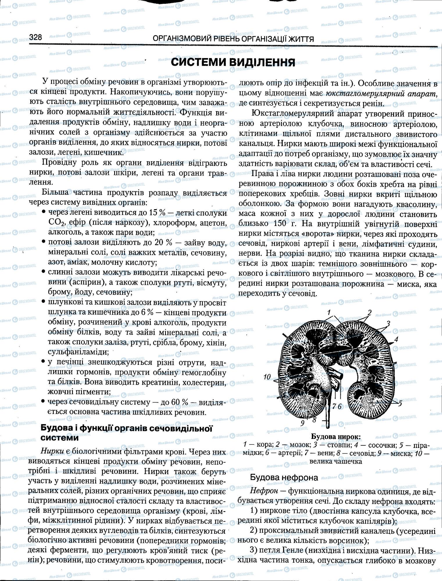 ЗНО Биология 11 класс страница 328