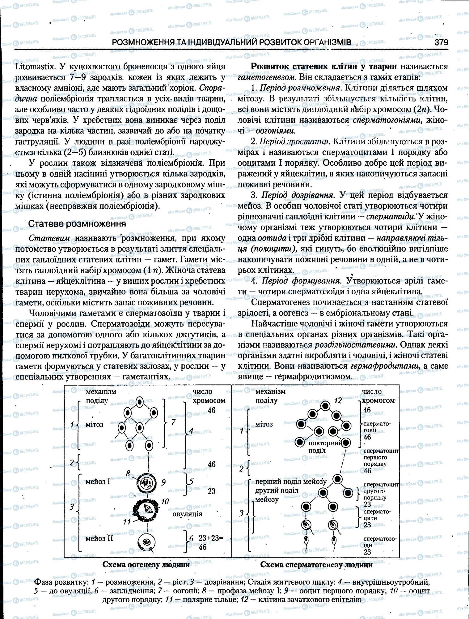 ЗНО Біологія 11 клас сторінка 379