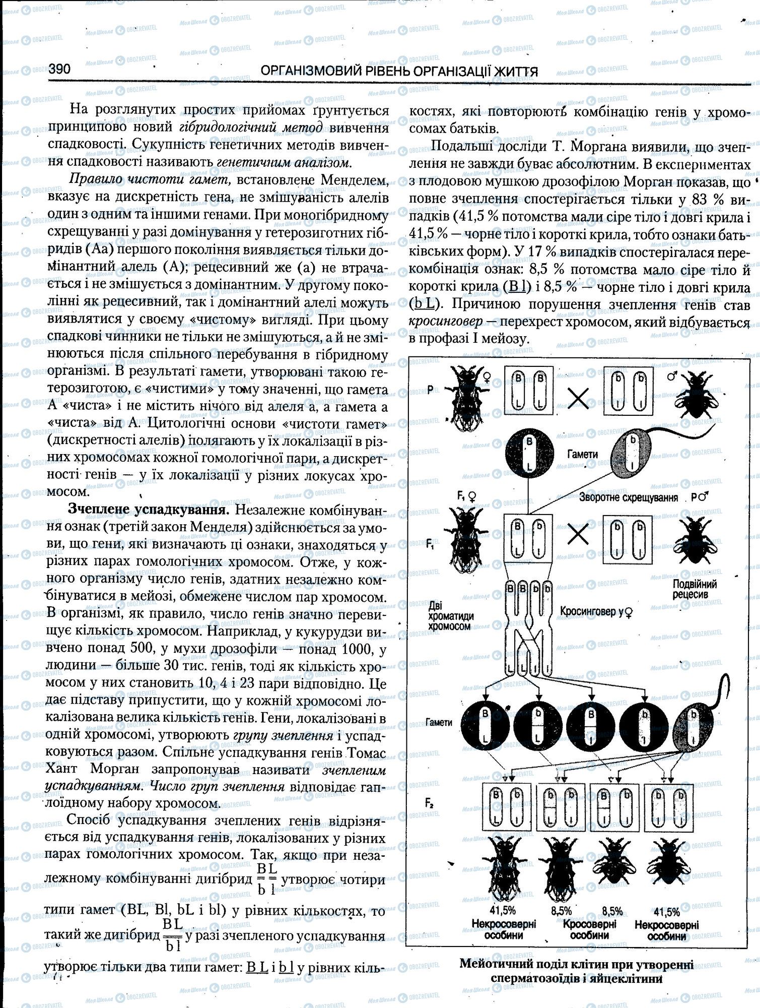 ЗНО Біологія 11 клас сторінка 390