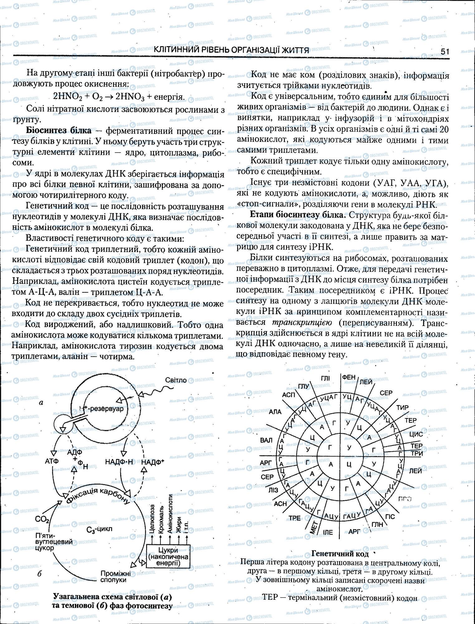 ЗНО Біологія 11 клас сторінка 051