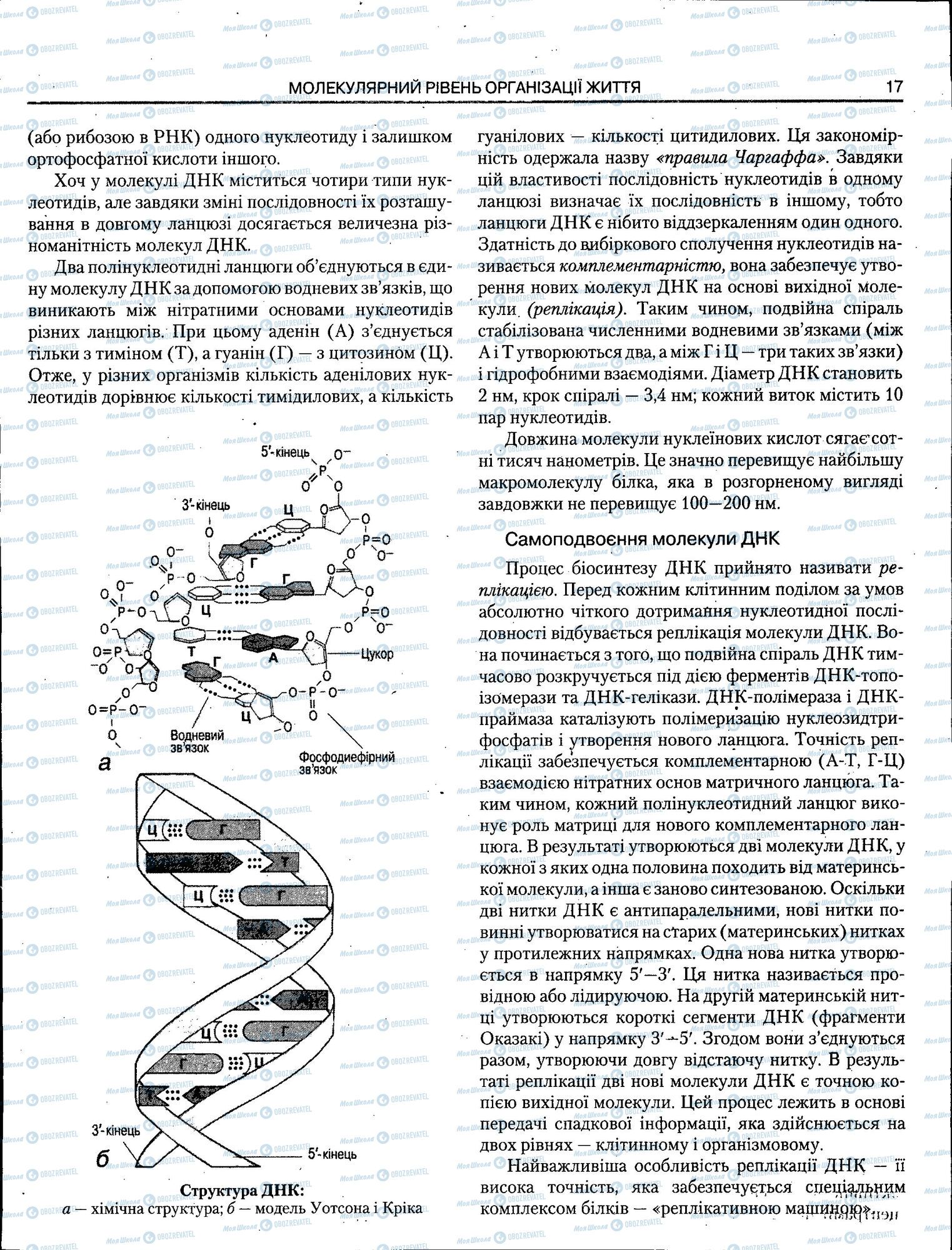 ЗНО Биология 11 класс страница 017