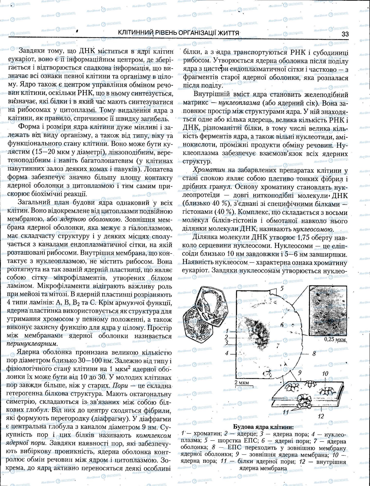 ЗНО Біологія 11 клас сторінка 033