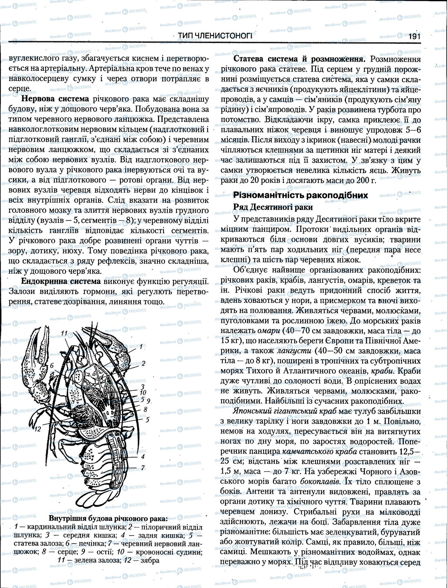 ЗНО Биология 11 класс страница 191