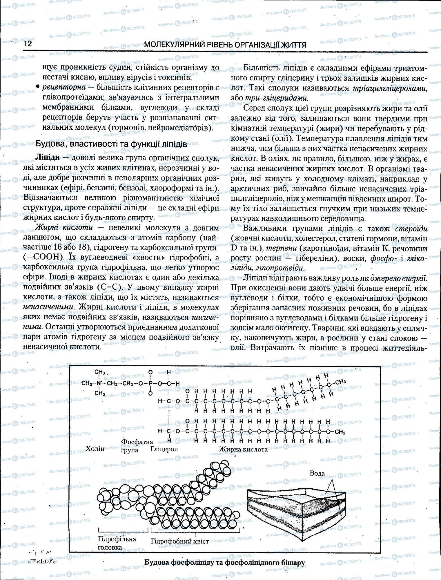 ЗНО Биология 11 класс страница 012