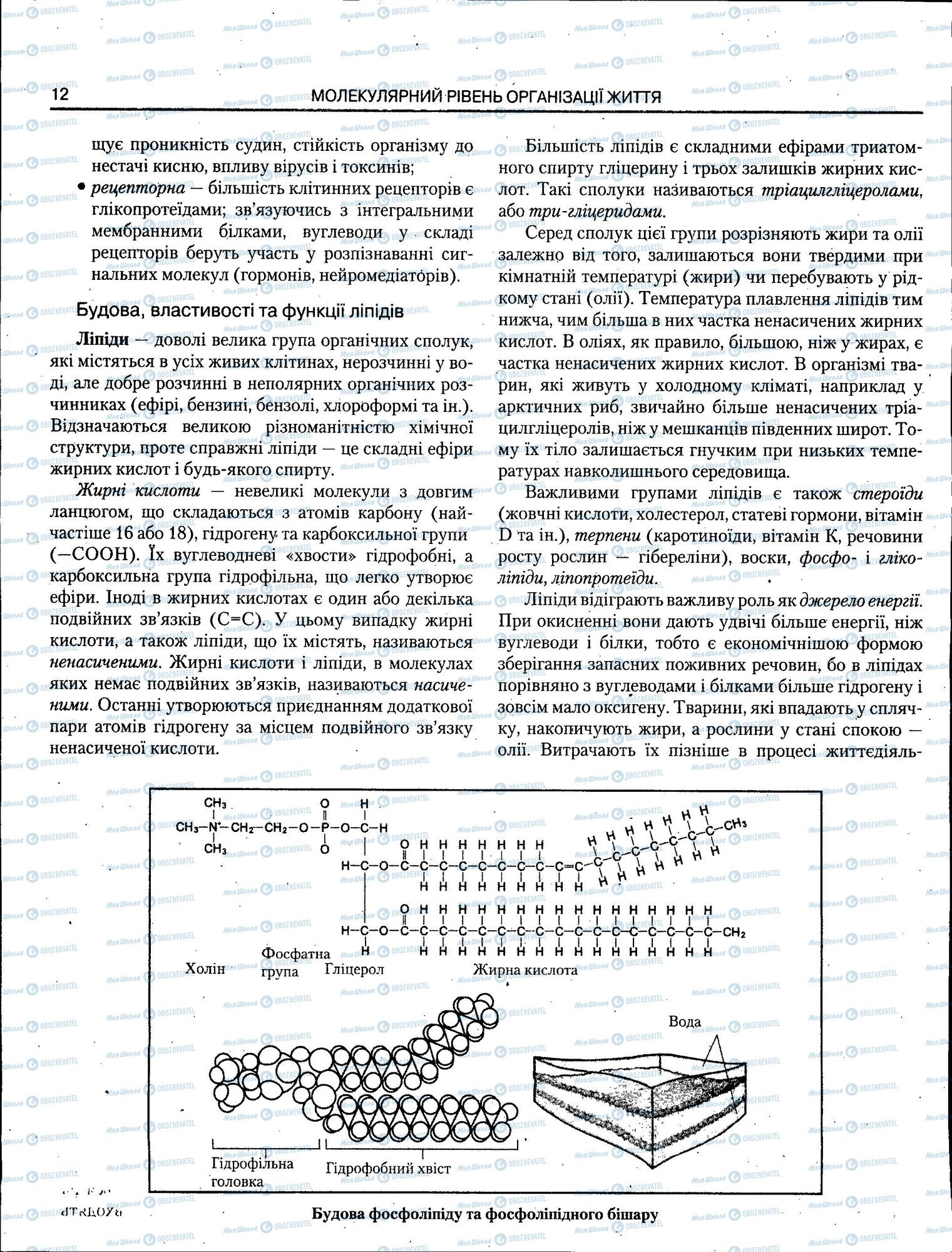 ЗНО Біологія 11 клас сторінка 012