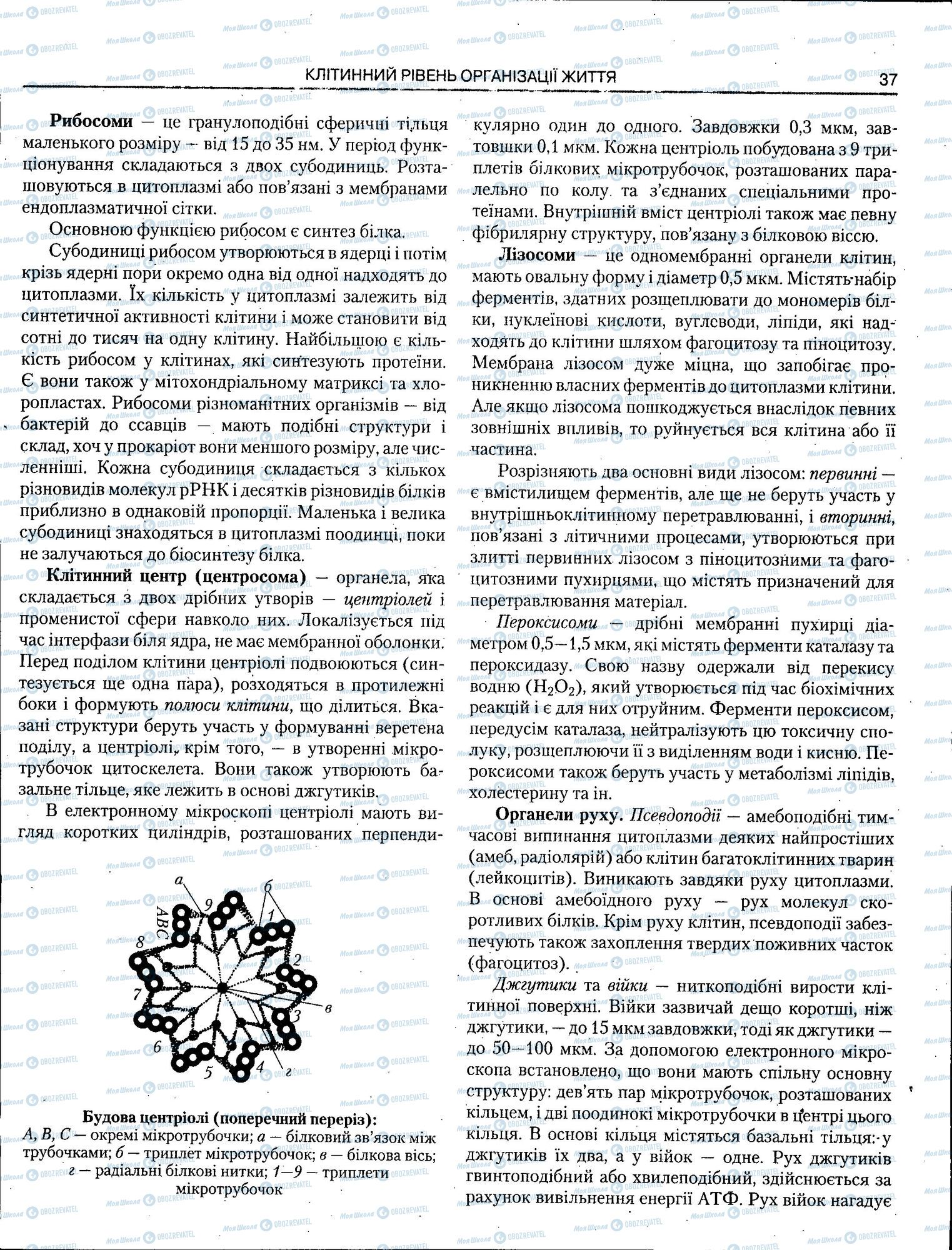 ЗНО Біологія 11 клас сторінка 037