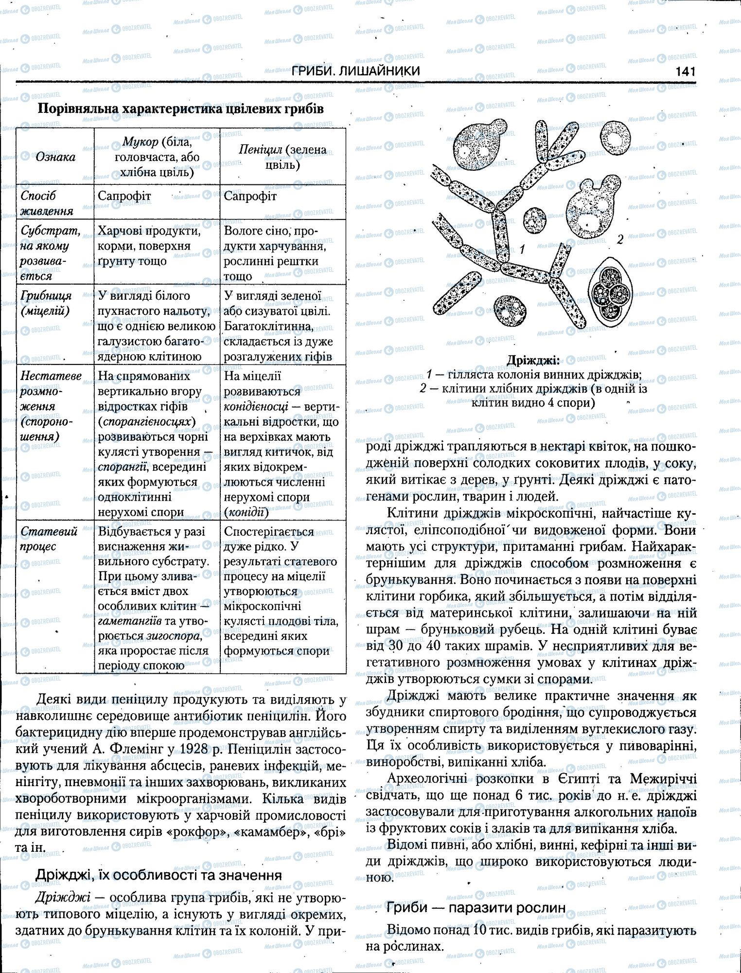 ЗНО Біологія 11 клас сторінка 141