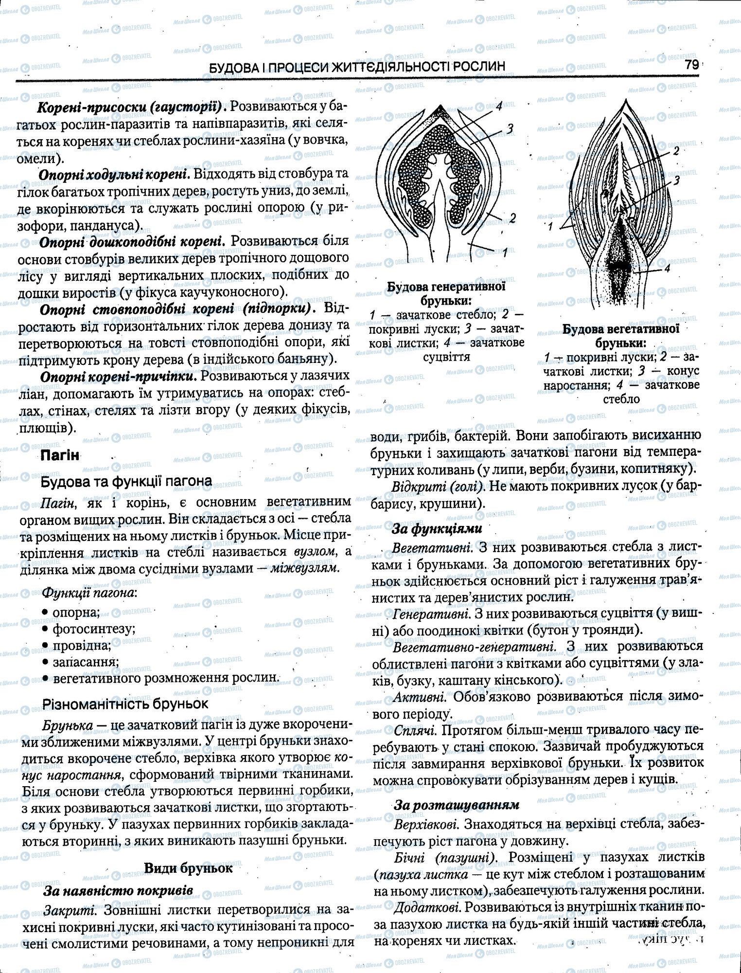 ЗНО Біологія 11 клас сторінка 079