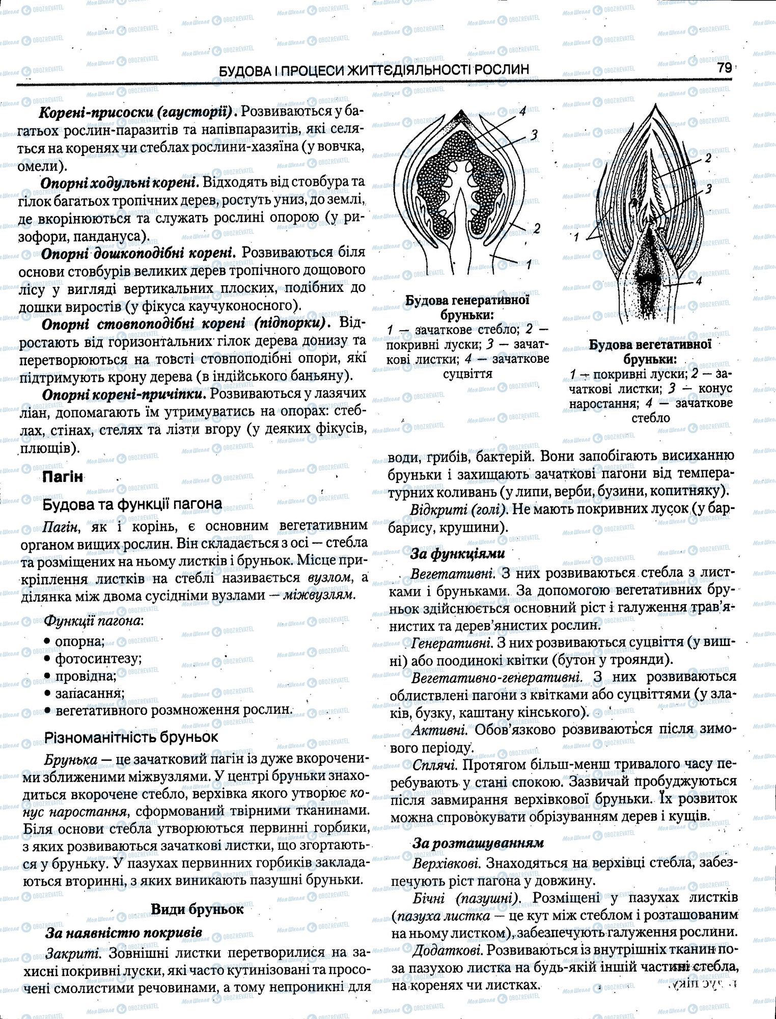 ЗНО Биология 11 класс страница 079