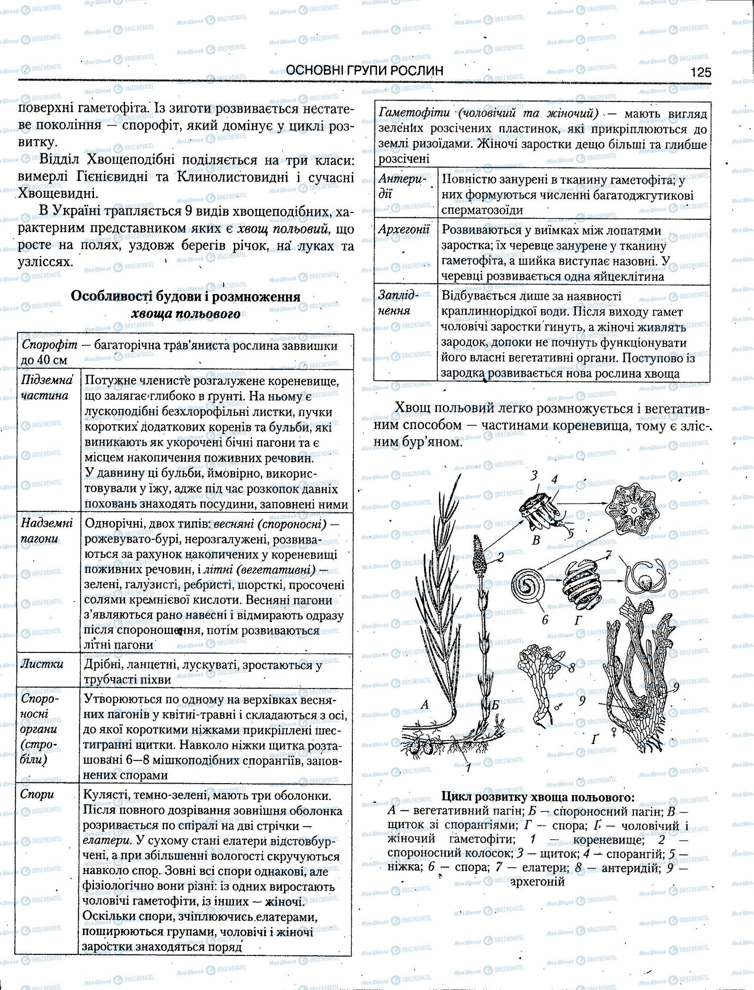 ЗНО Біологія 11 клас сторінка 125
