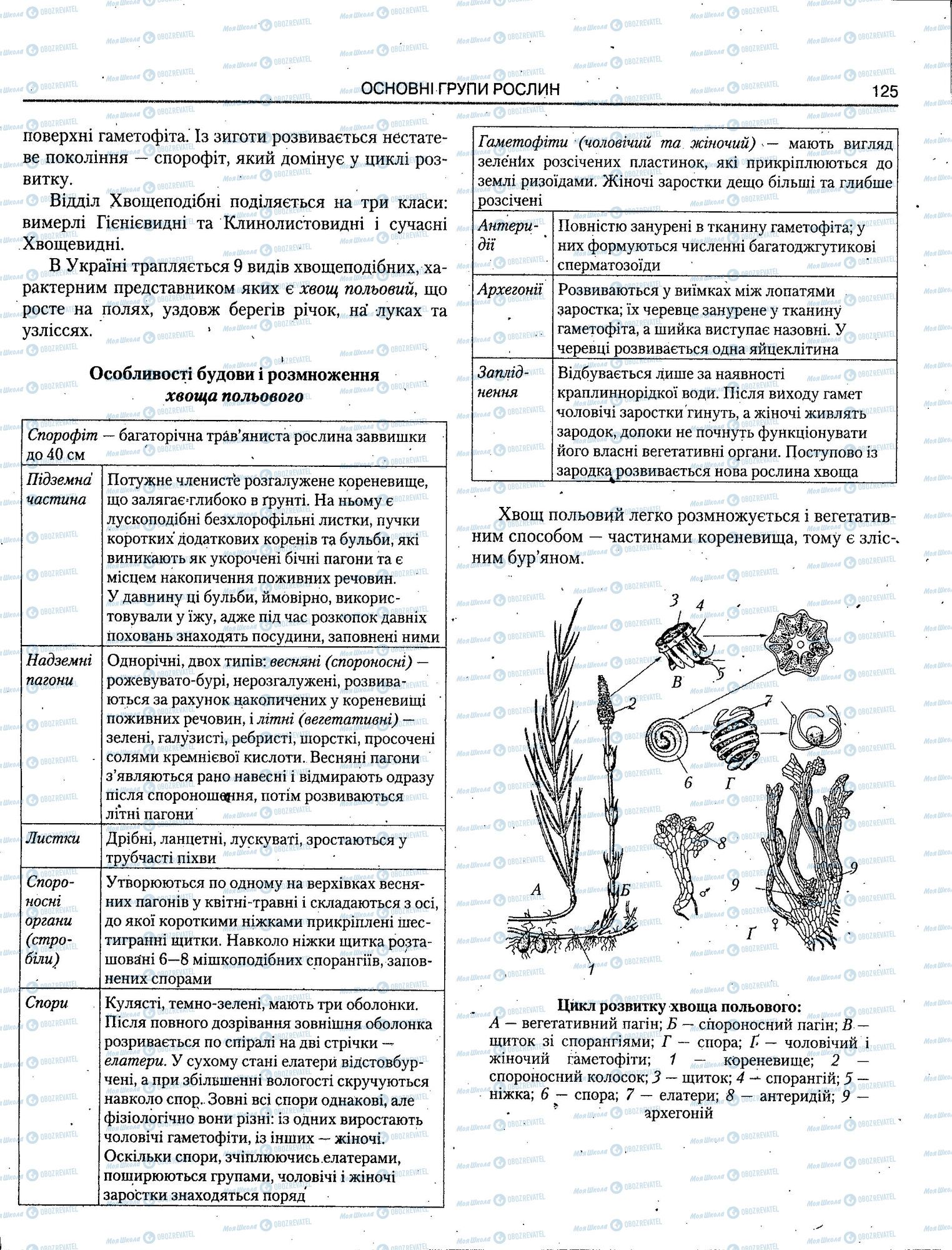 ЗНО Биология 11 класс страница 125