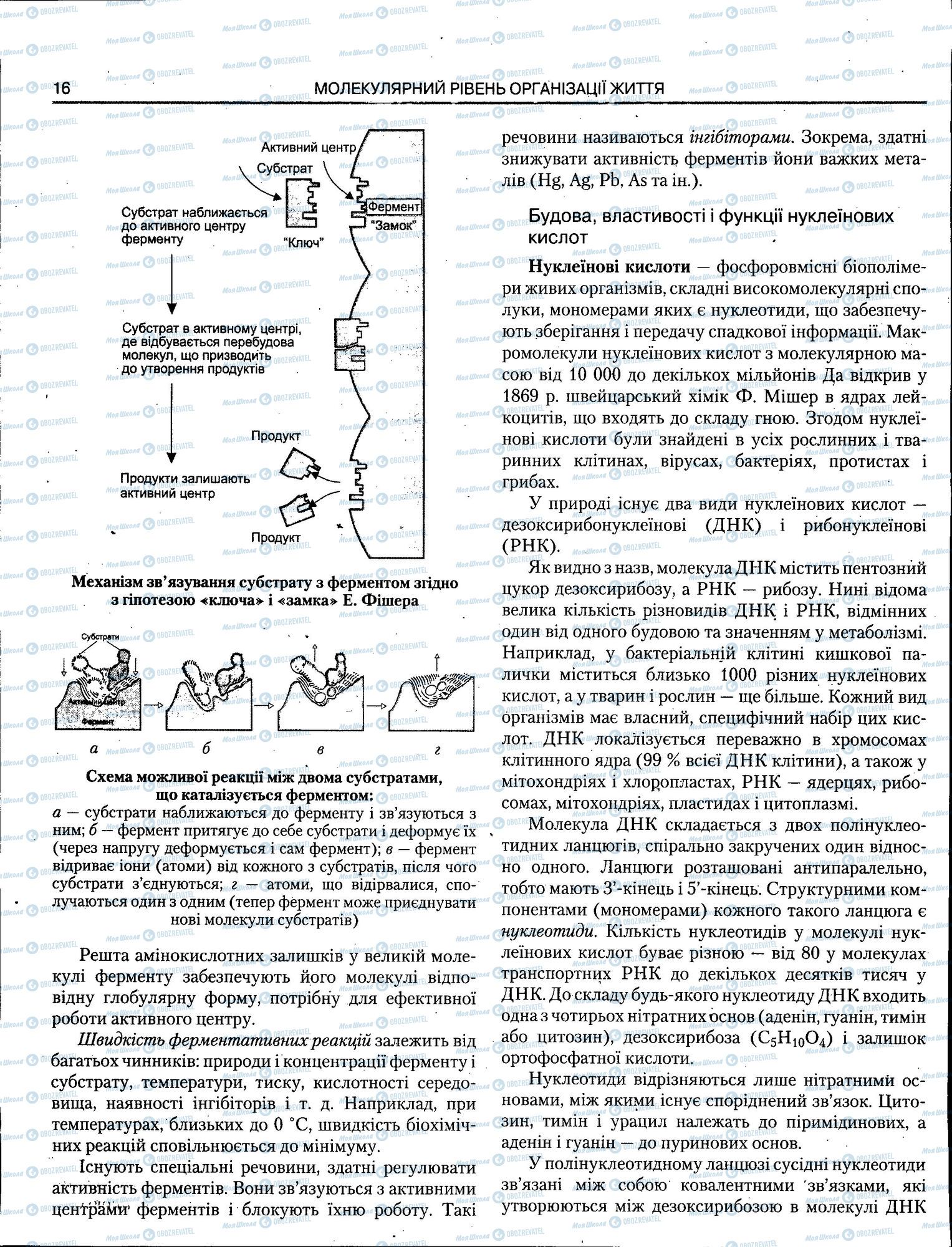 ЗНО Биология 11 класс страница 016