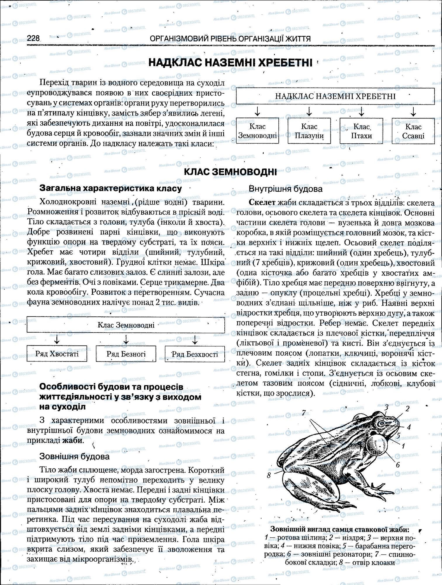 ЗНО Биология 11 класс страница 228