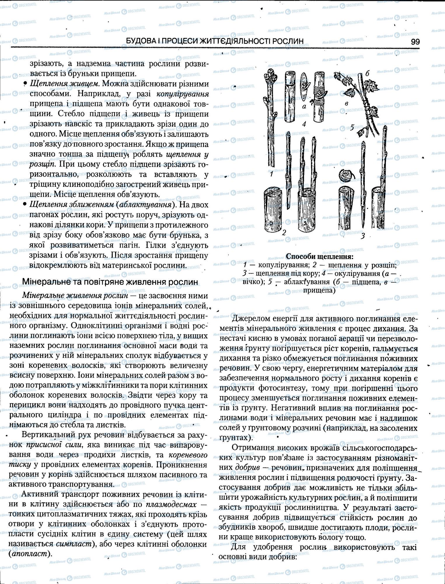 ЗНО Біологія 11 клас сторінка 099