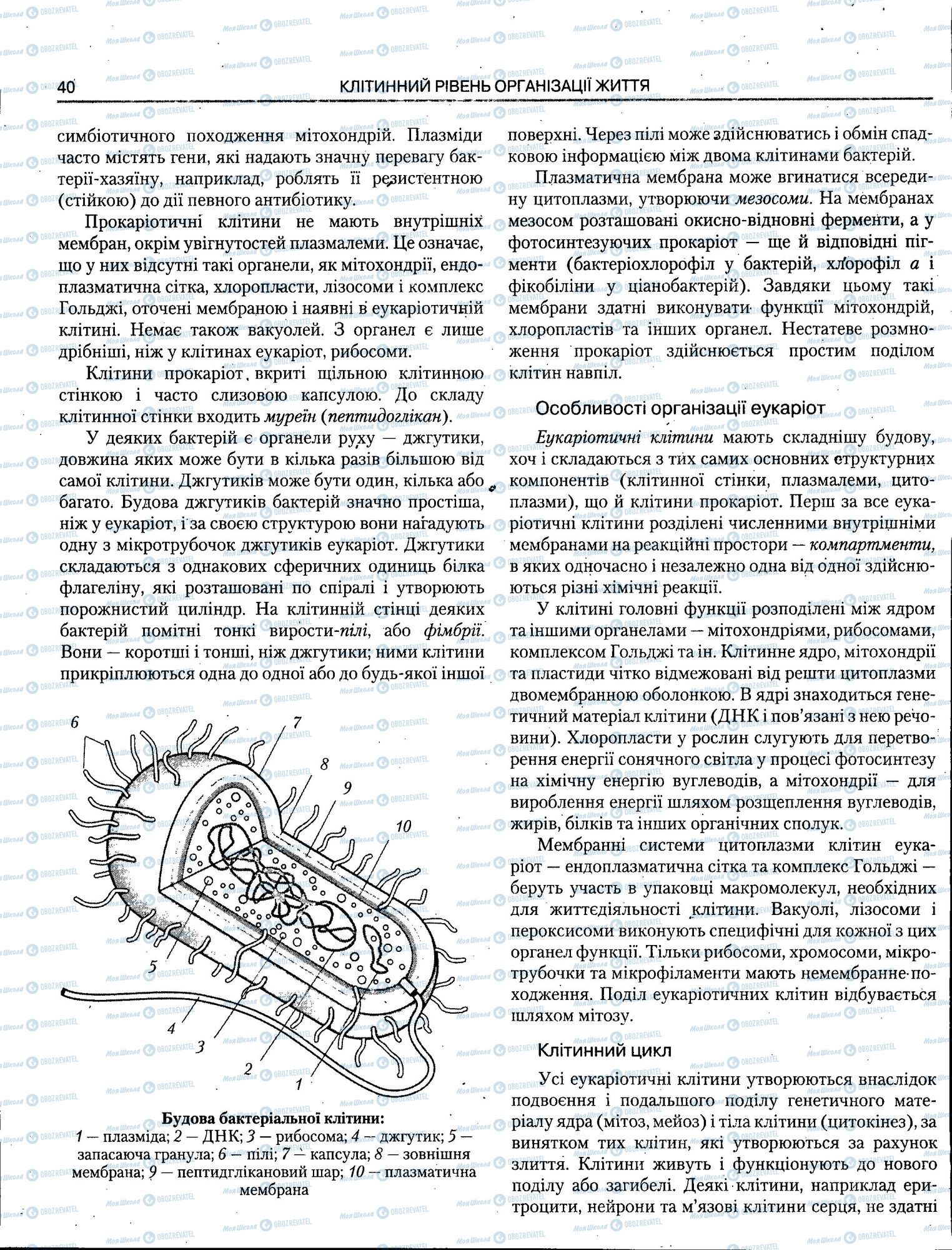 ЗНО Біологія 11 клас сторінка 040